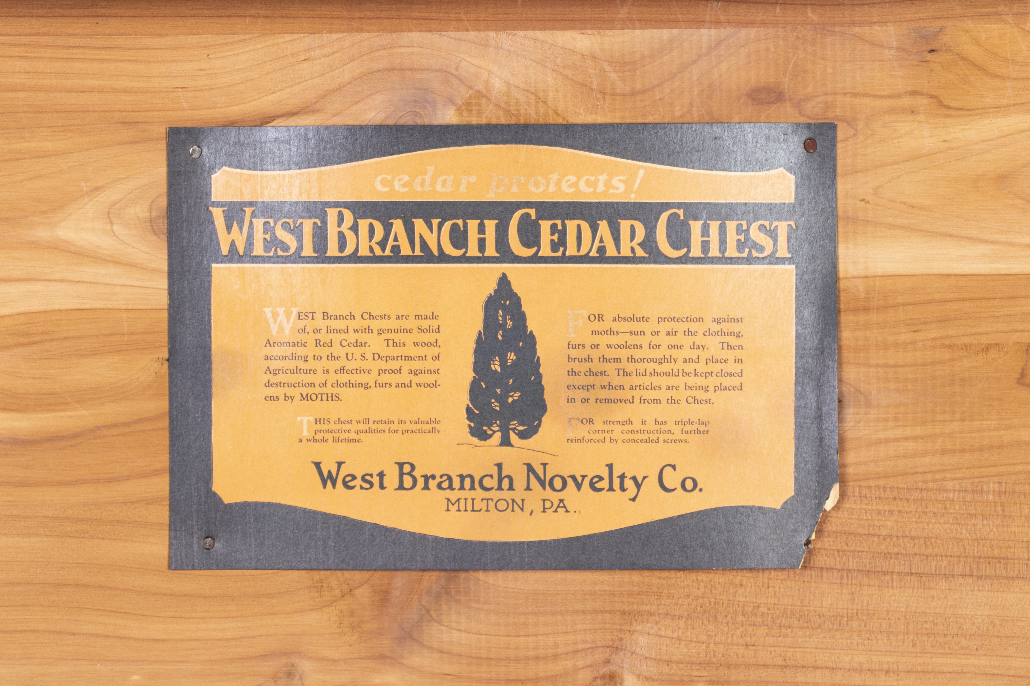 Vintage Cedar Chest by West Branch Novelty Co.