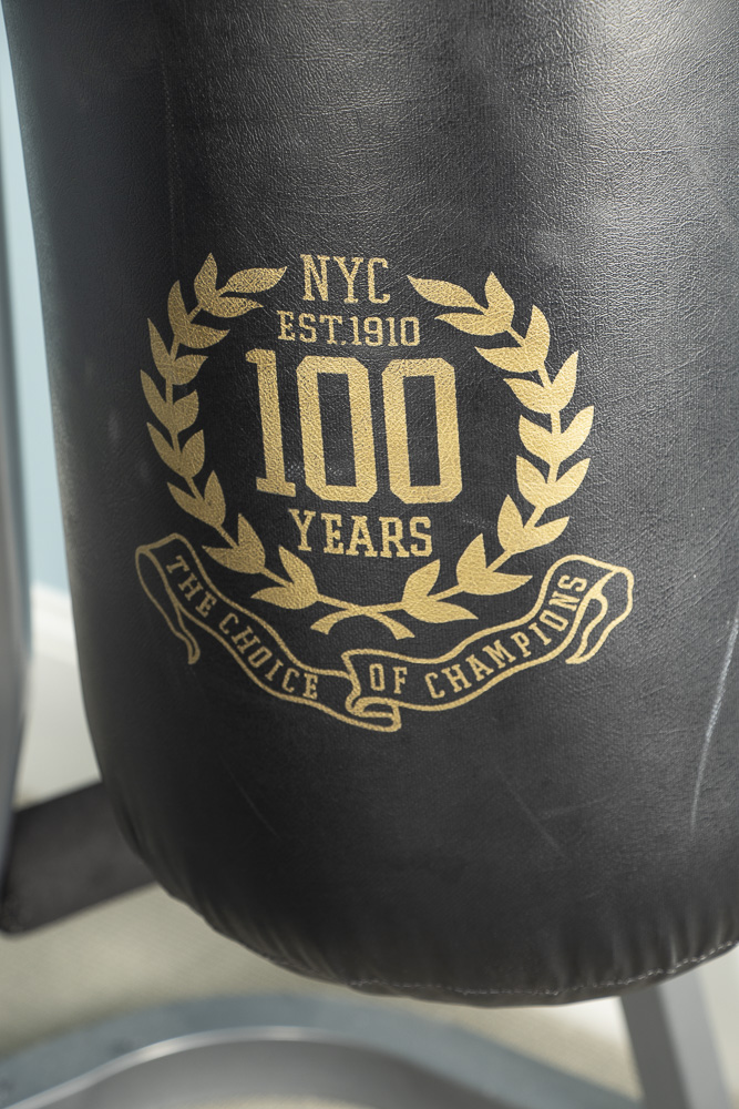 Everlast 100-Year Anniversary Punching Bag with TKO Heavy Bag Stand