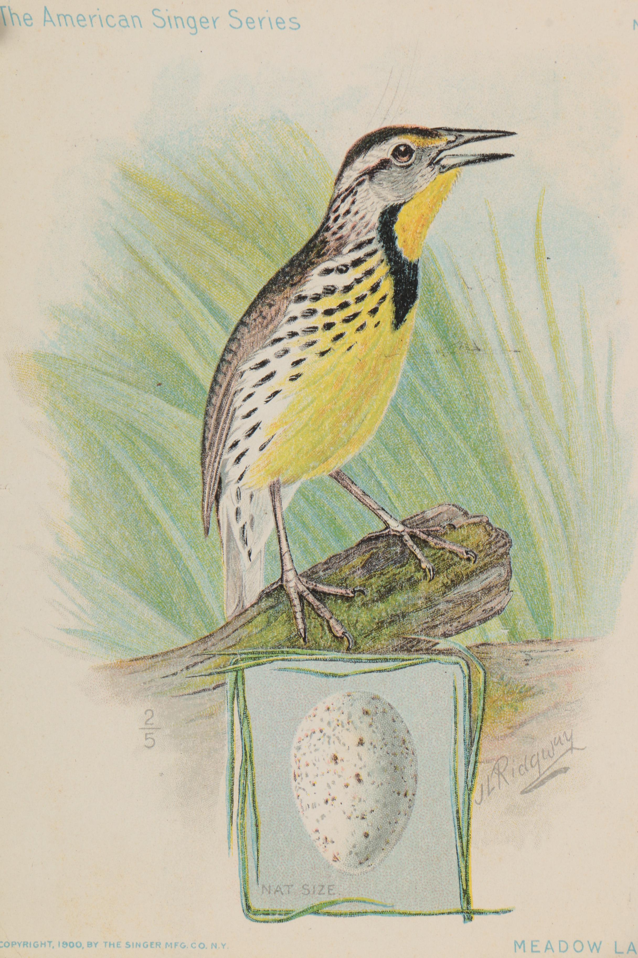 Chromolithographs from "The American Singer Series"