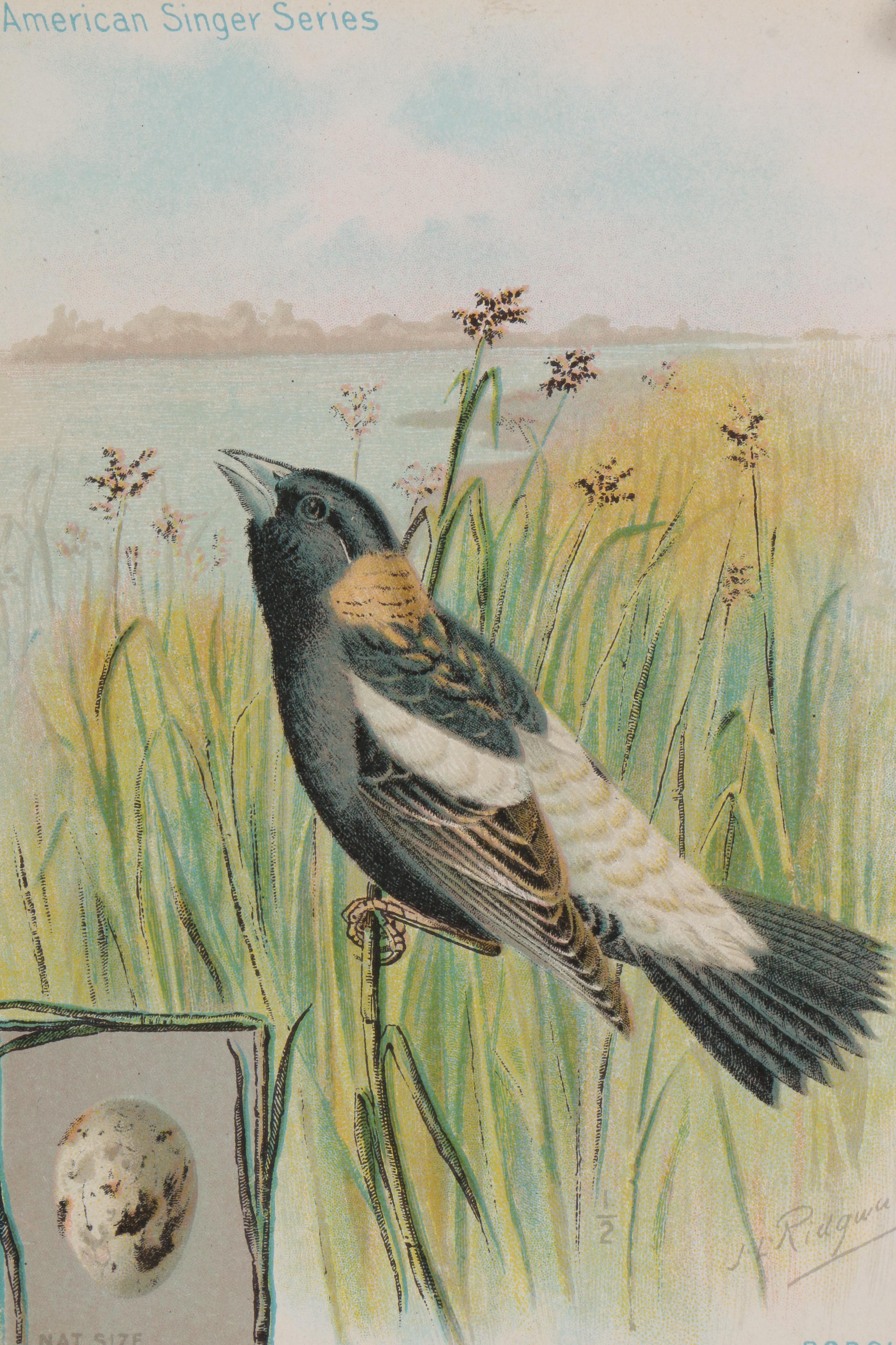 Chromolithographs from "The American Singer Series"