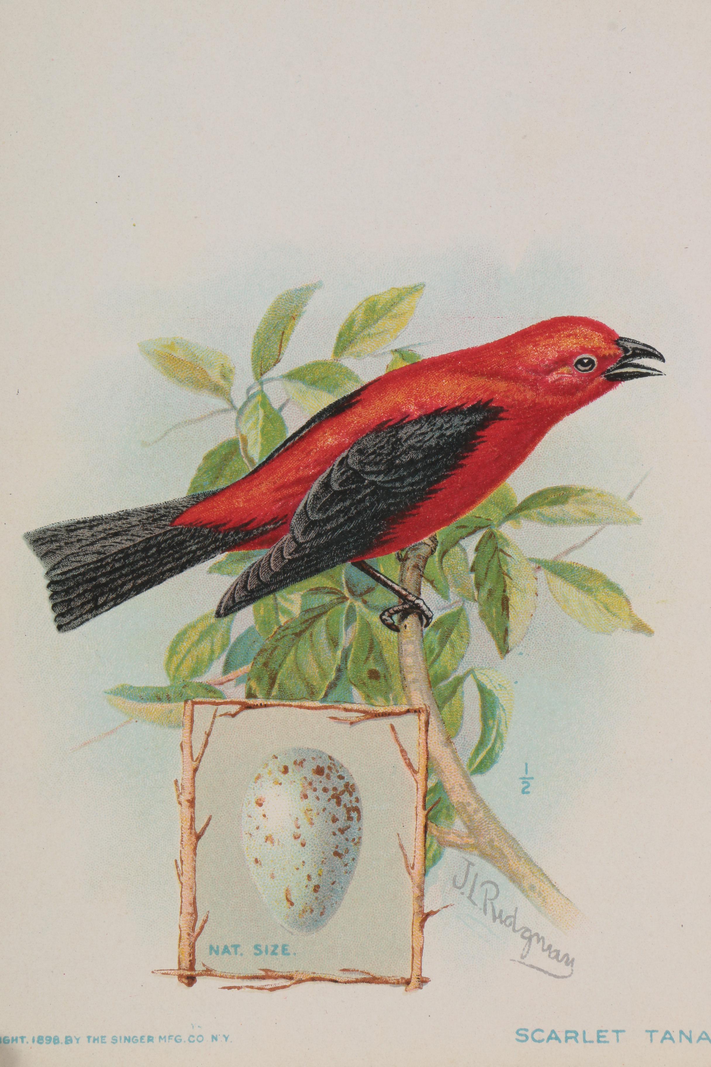 Chromolithographs from "The American Singer Series"