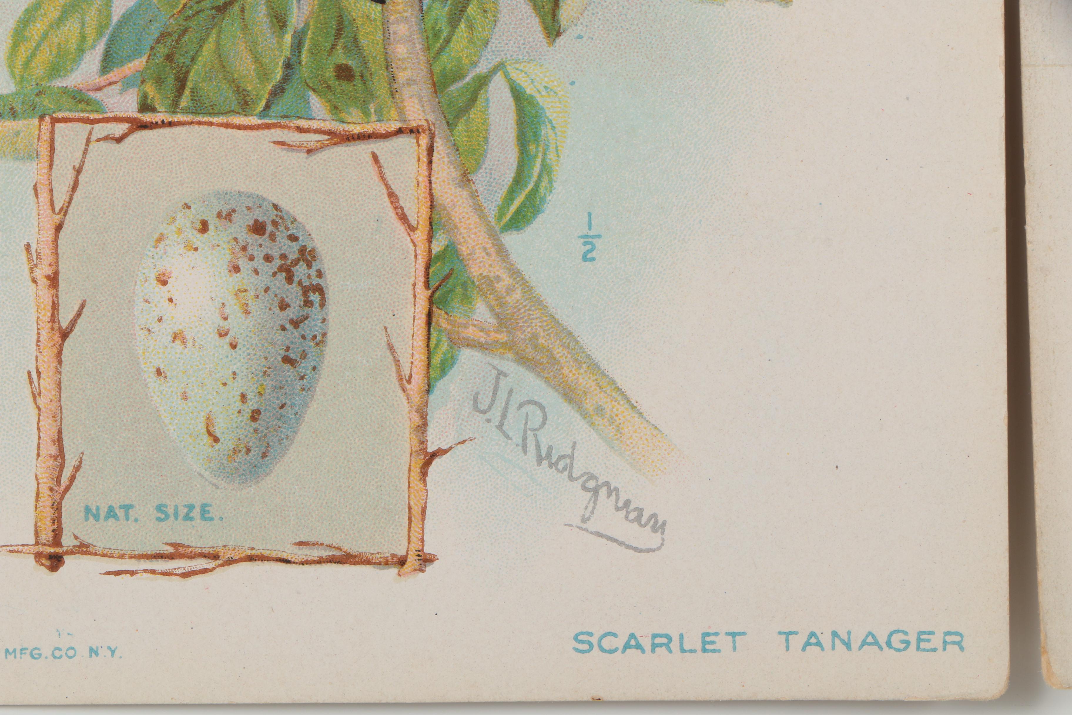 Chromolithographs from "The American Singer Series"