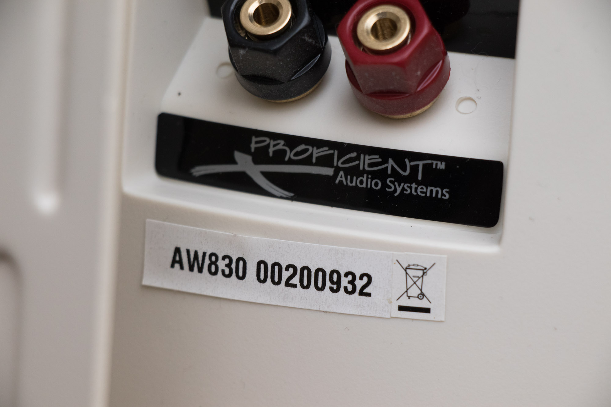 Proficient Audio System 8" Indoor/Outdoor Speakers