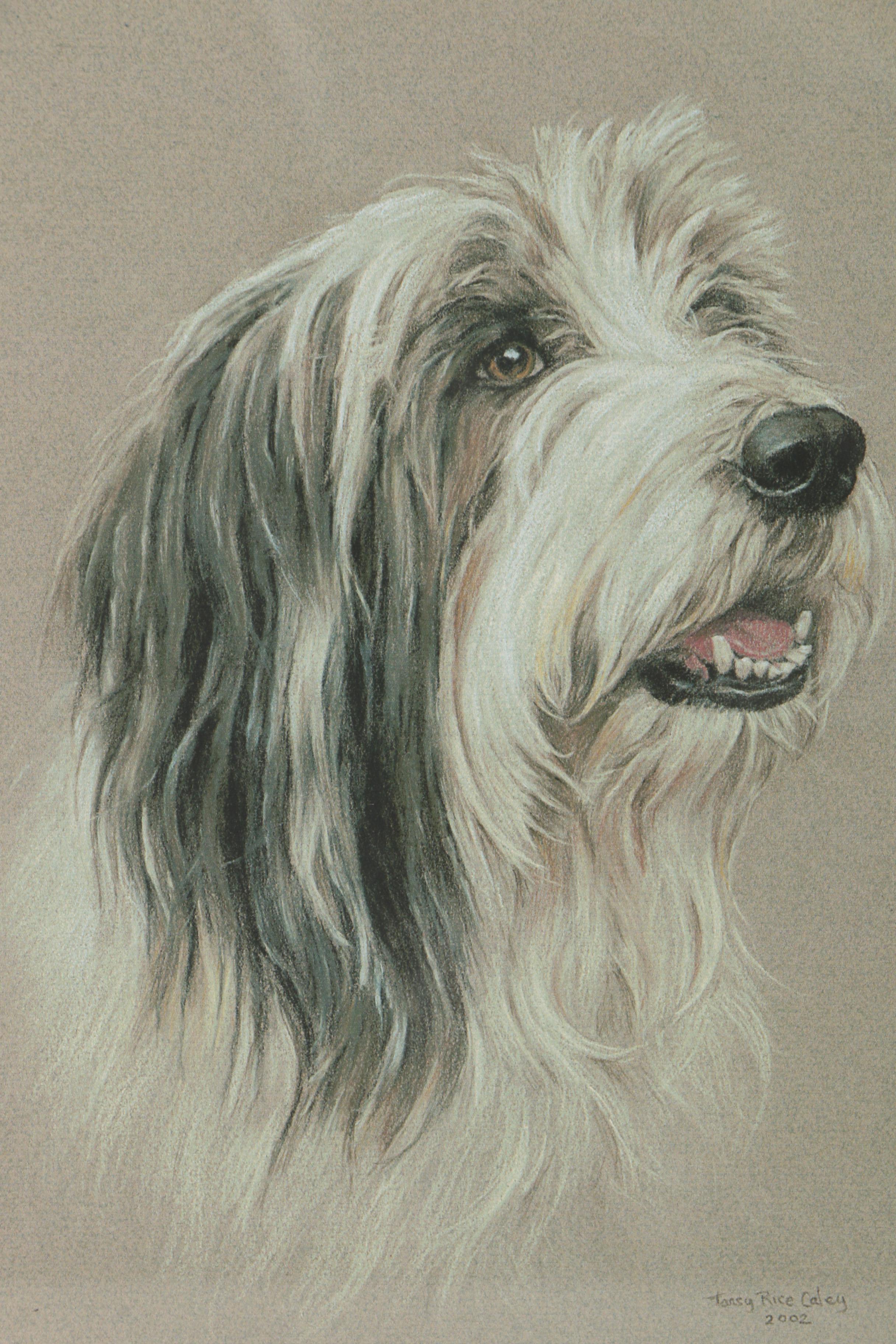 Tansy Rice Caley Giclée "Bearded Collie"