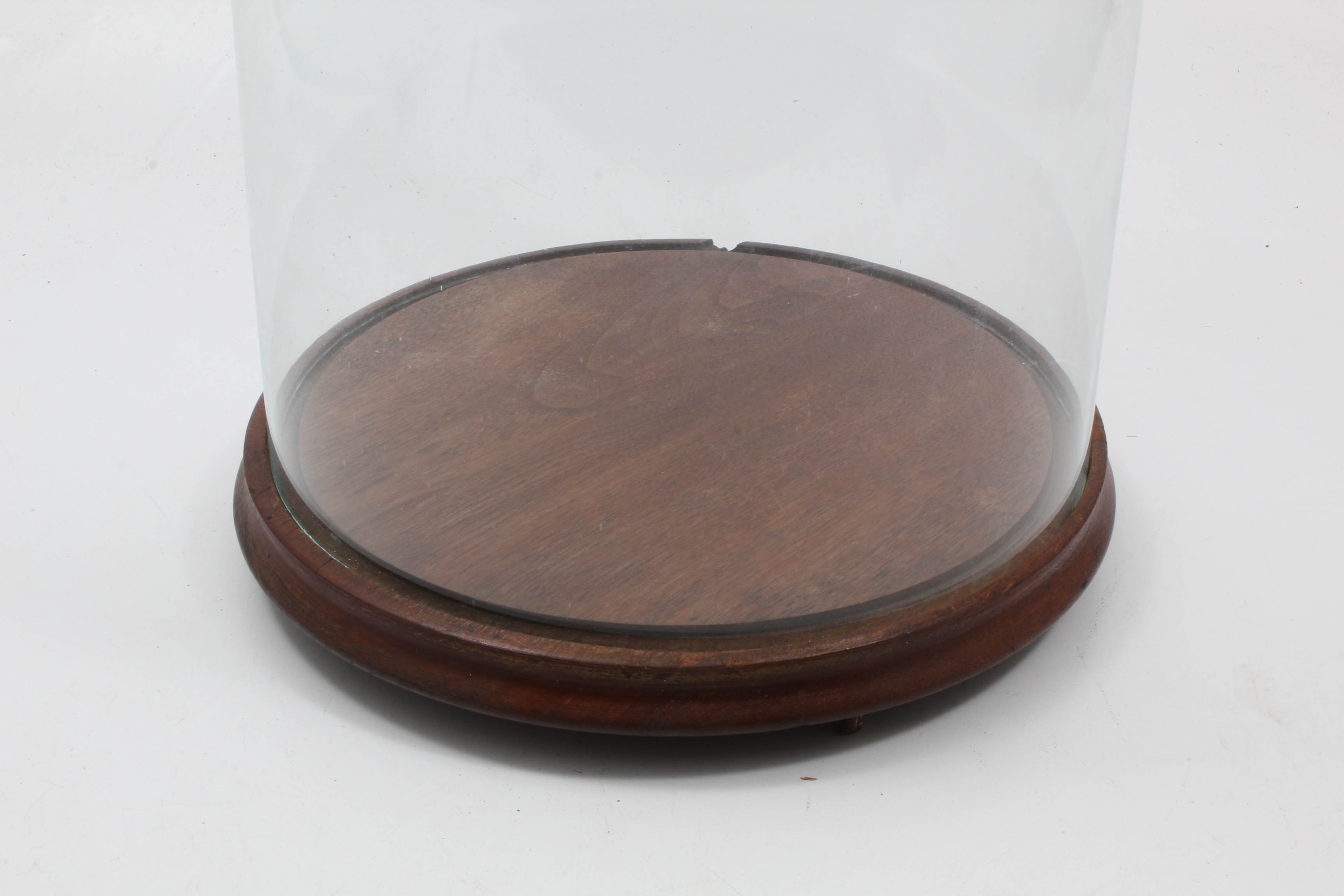 Victorian Era Glass Doll Cloche with Walnut Base