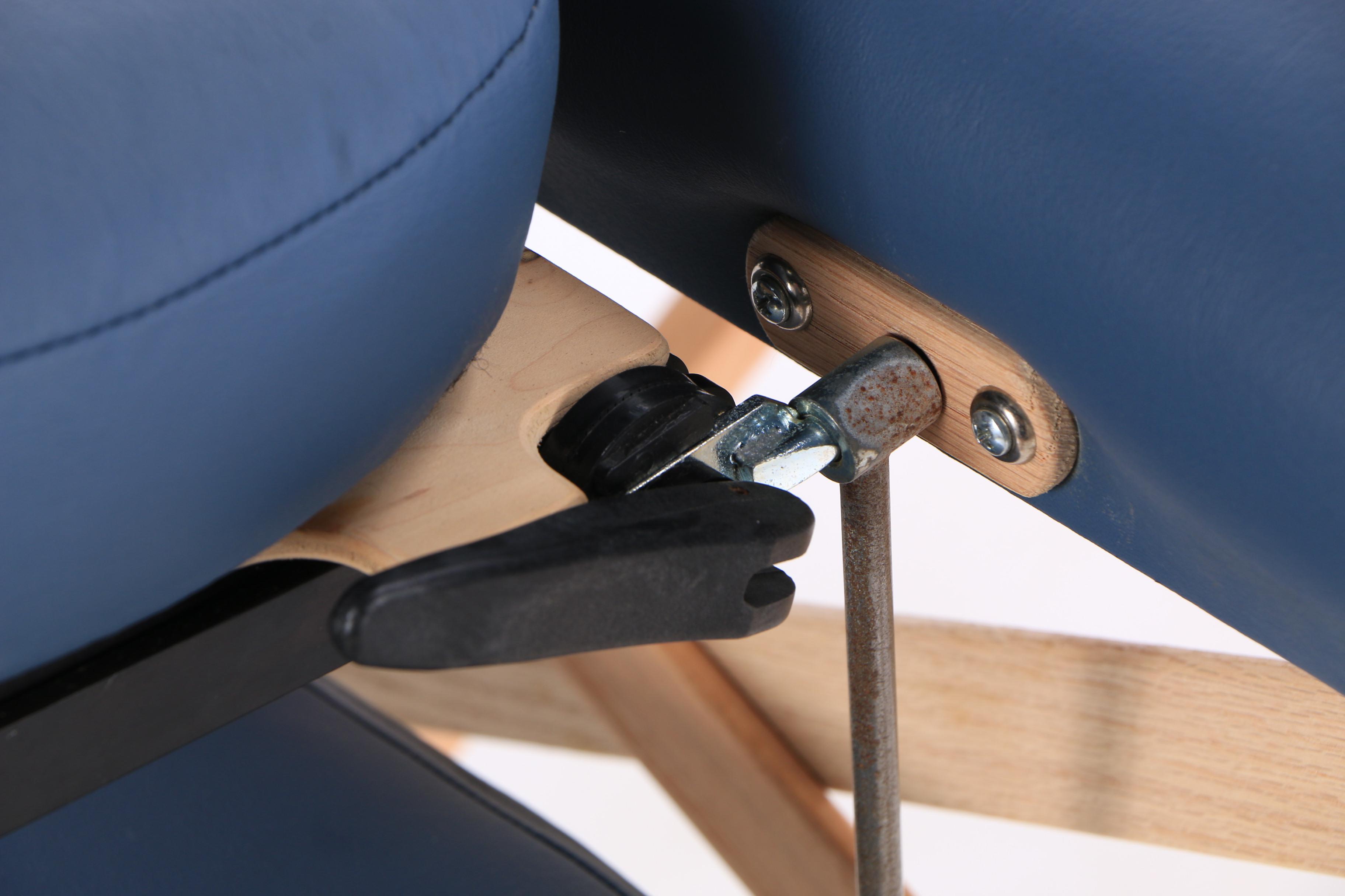 Strong Lite Portable Massage Table and Carry Case