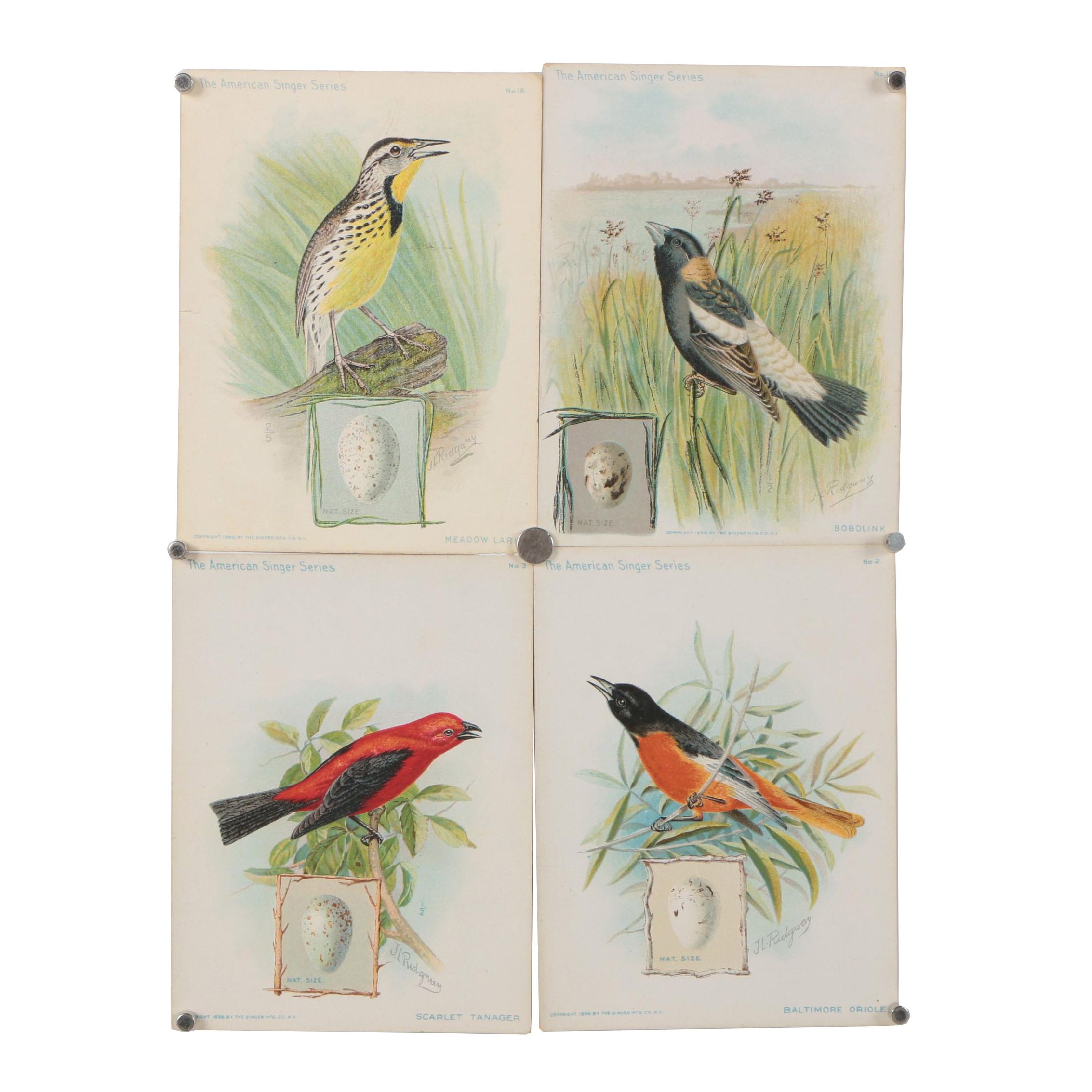 Chromolithographs from "The American Singer Series"