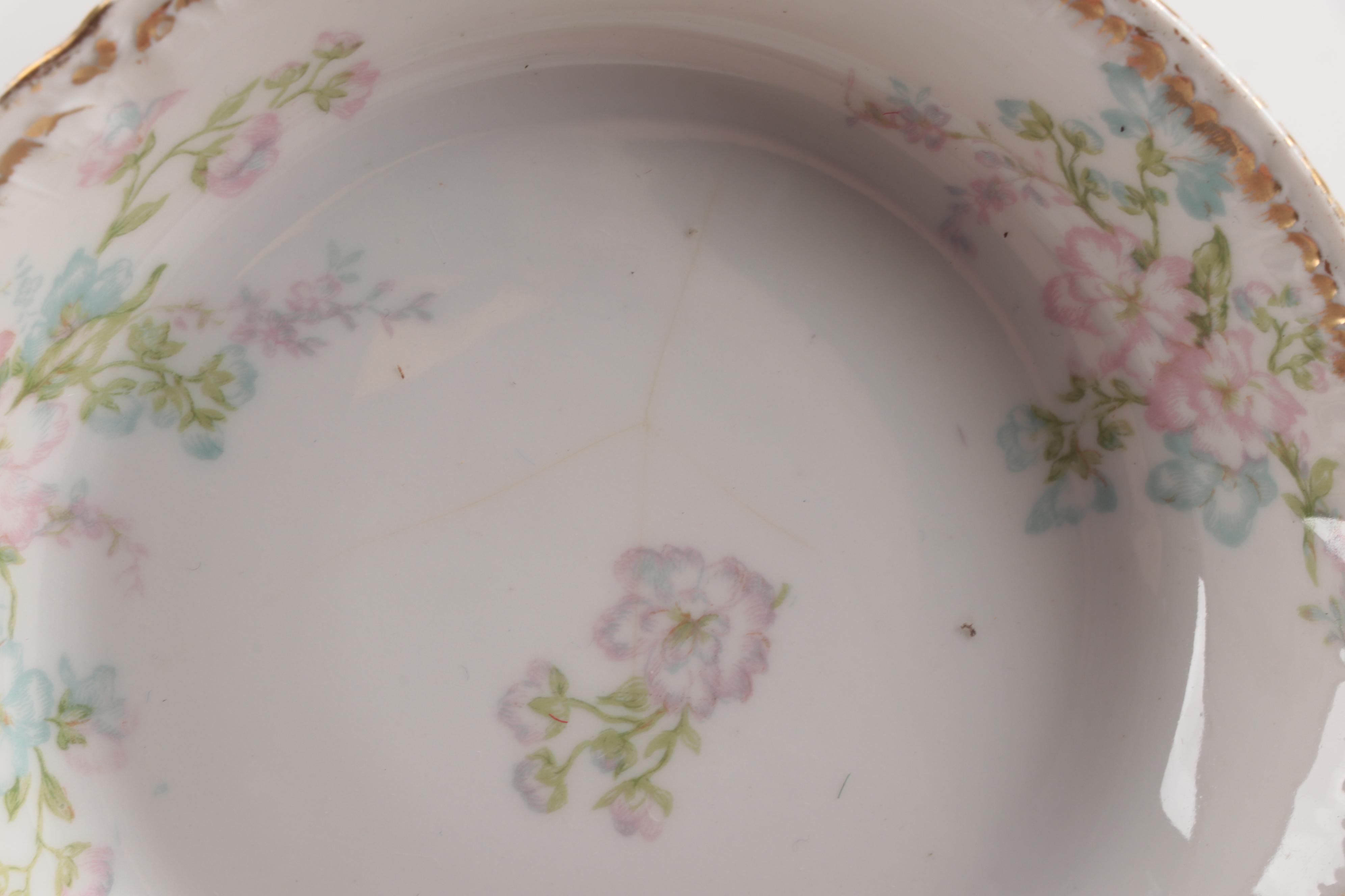 Vintage Haviland Limoges Porcelain Dinnerware