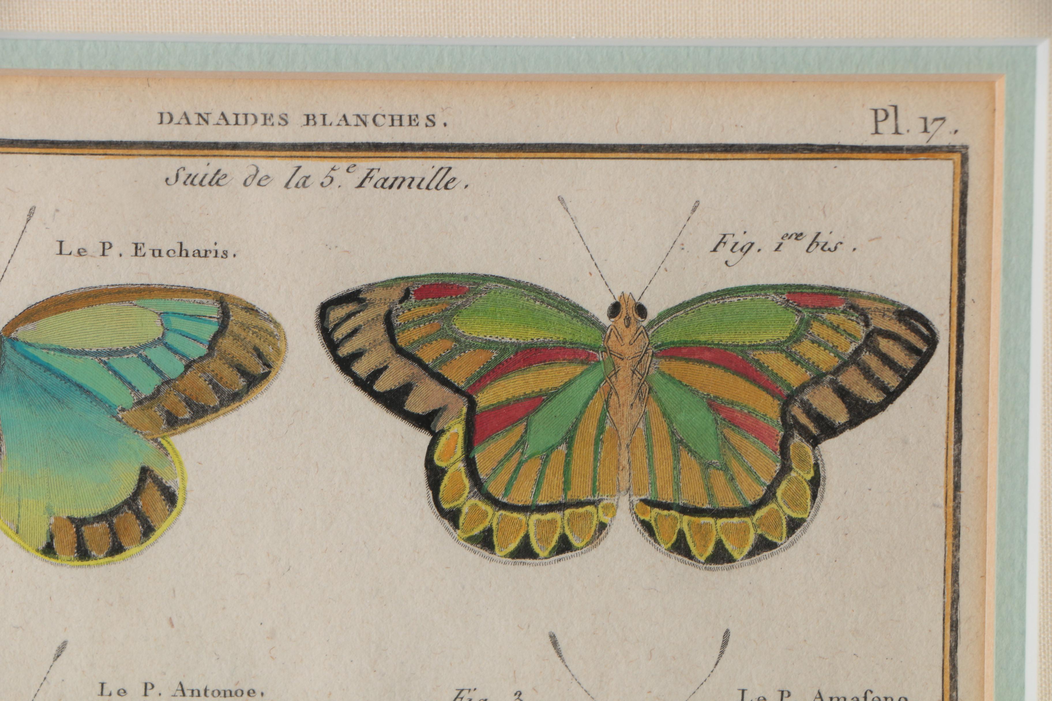 Robert Bénard Hand-Colored Engravings "Histoire Naturelle, Insects"