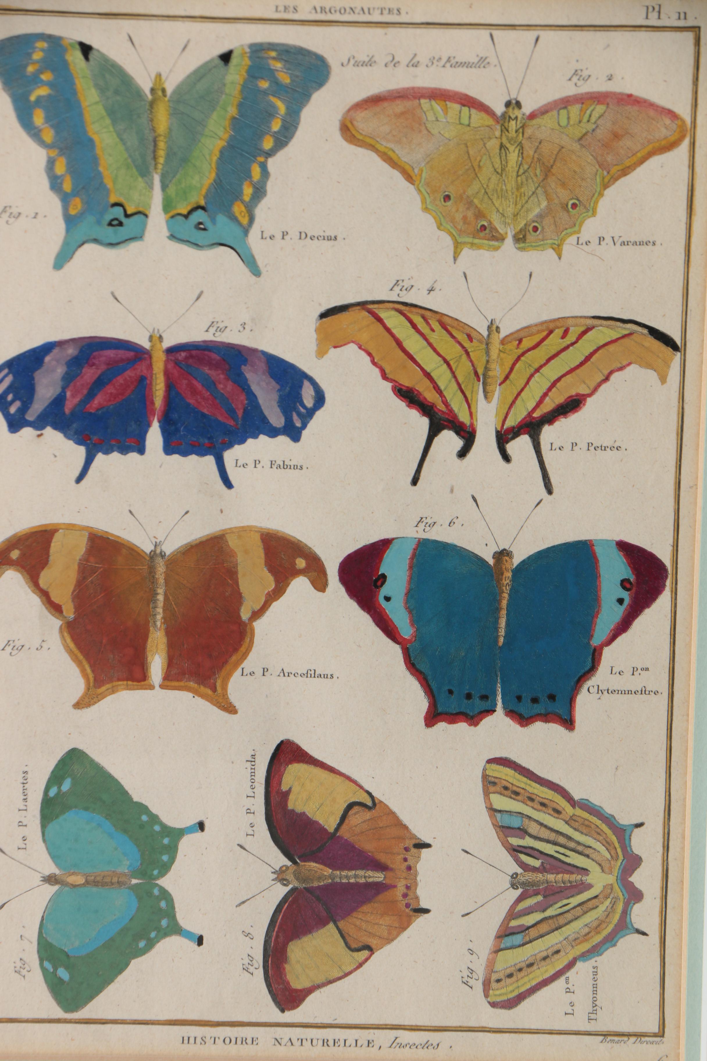 Robert Bénard Hand-Colored Engravings "Histoire Naturelle, Insects"