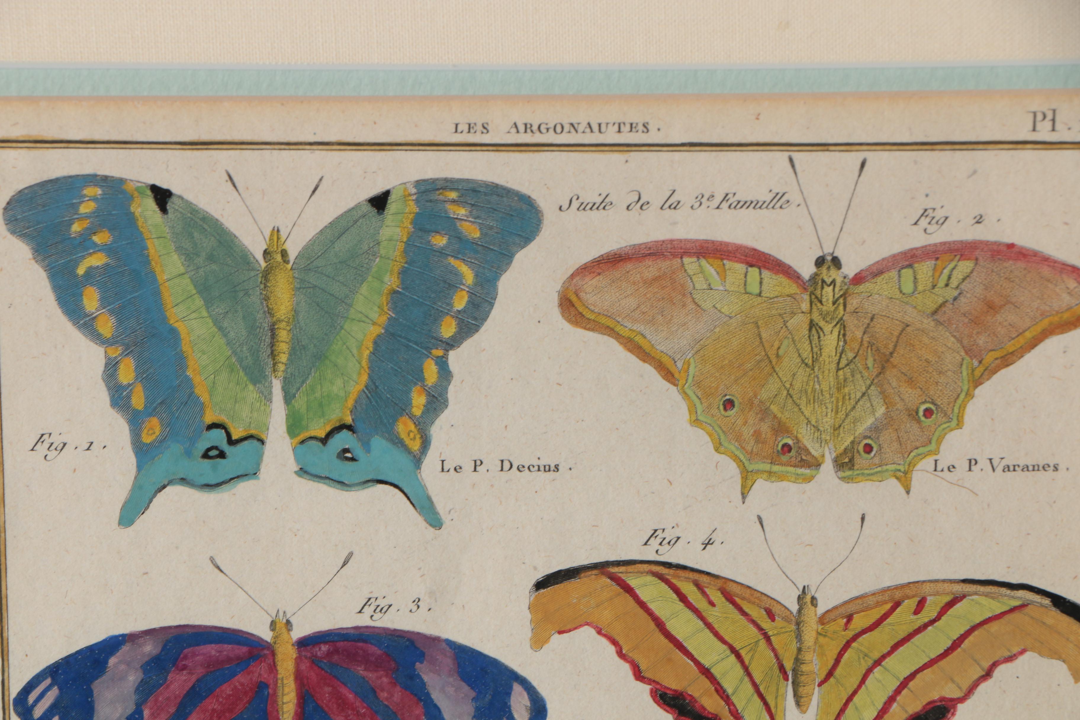 Robert Bénard Hand-Colored Engravings "Histoire Naturelle, Insects"