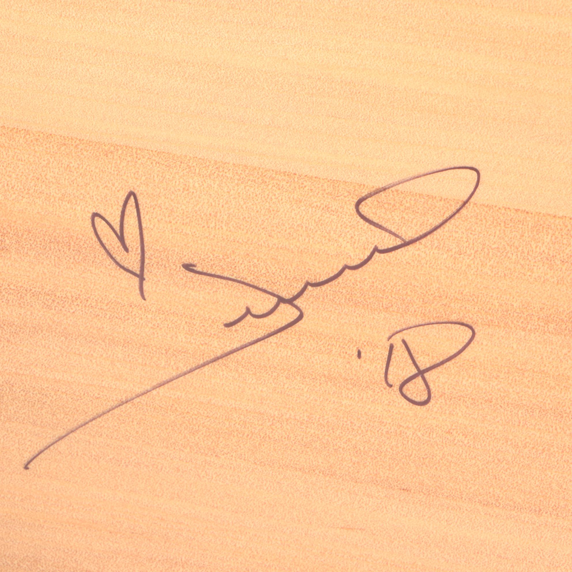 Jewel Signed Acoustic Guitar  COA