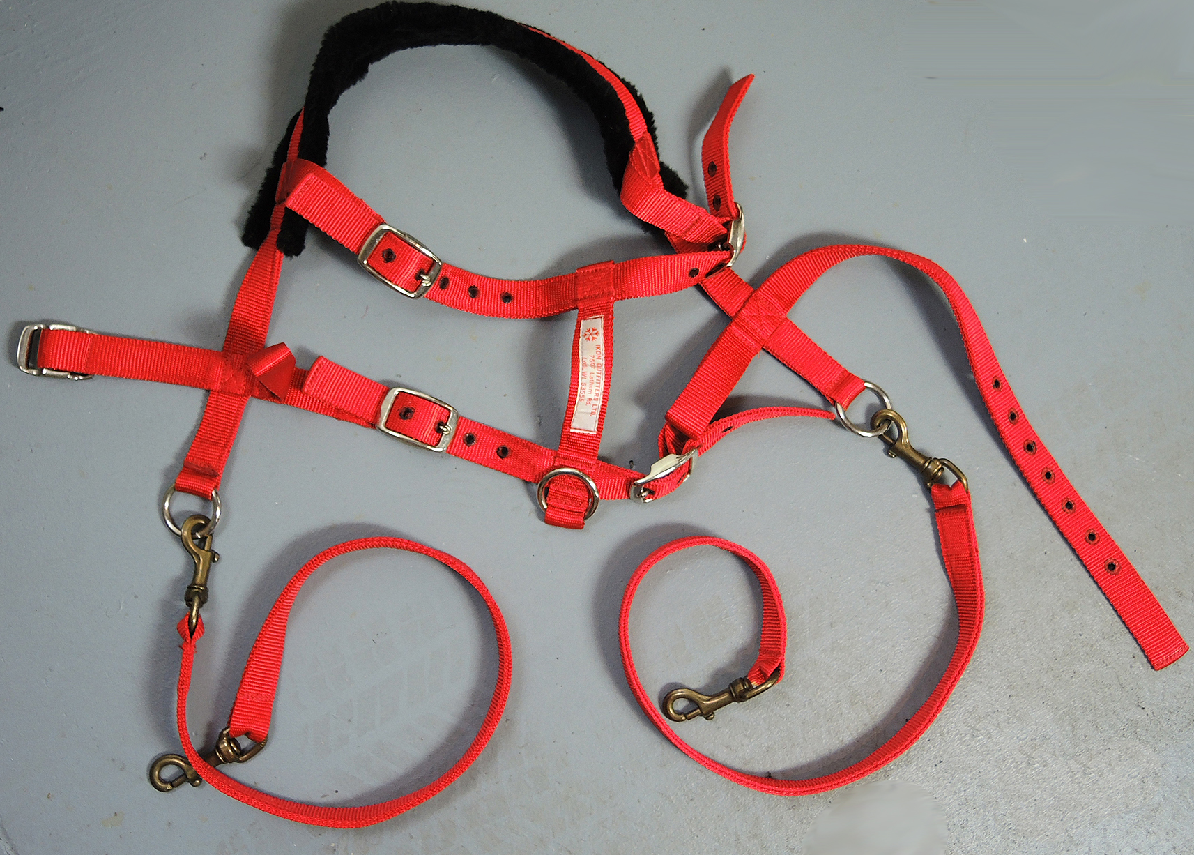 Vintage L. L. Bean Wooden Sled with Dog Harness