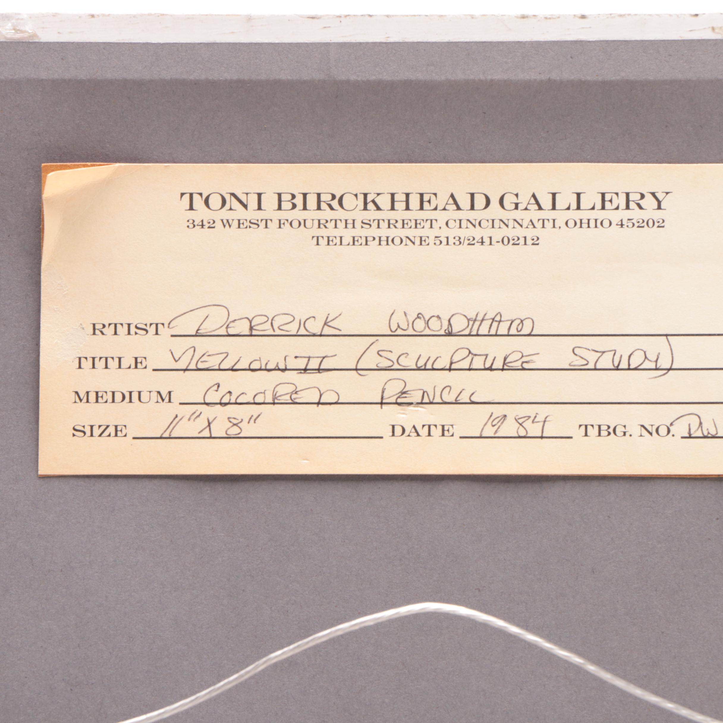 Derrick James Woodham Colored Pencil Drawing "Yellow II (Sculpture Study)"