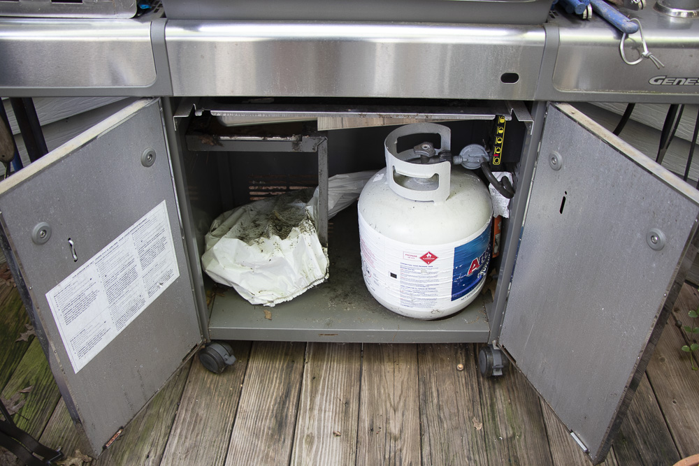 Weber Genesis Stainless Steel Propane Gas Grill