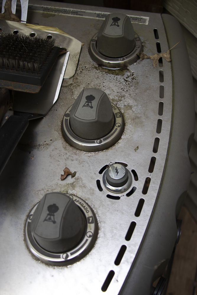 Weber Genesis Stainless Steel Propane Gas Grill