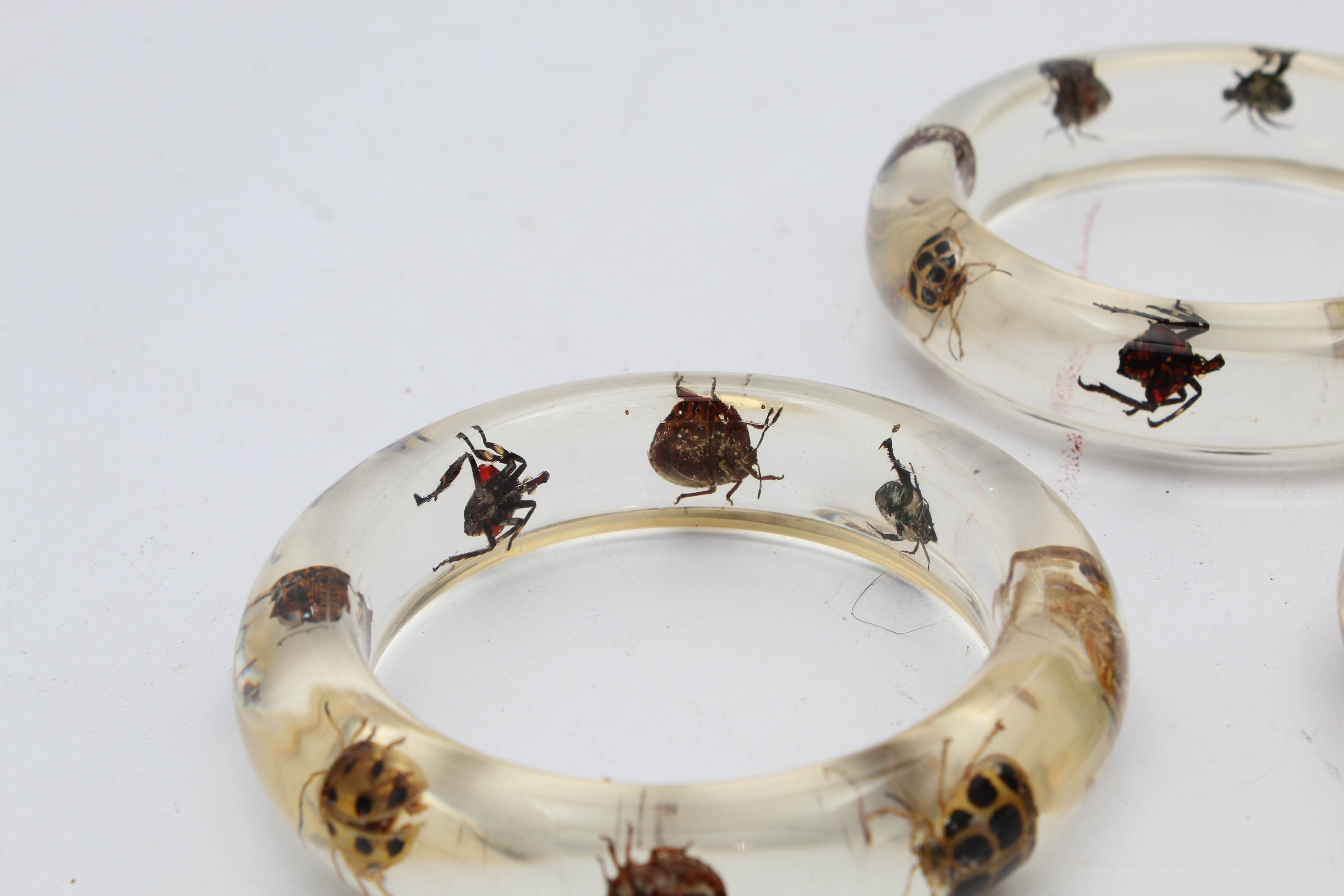 Insects in Resin Bangle Bracelets