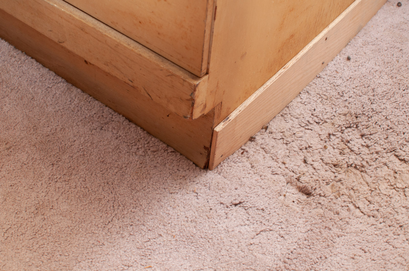 Pair of Mid Century Modern Blonde Wood Chest of Drawers, Mid-20th Century
