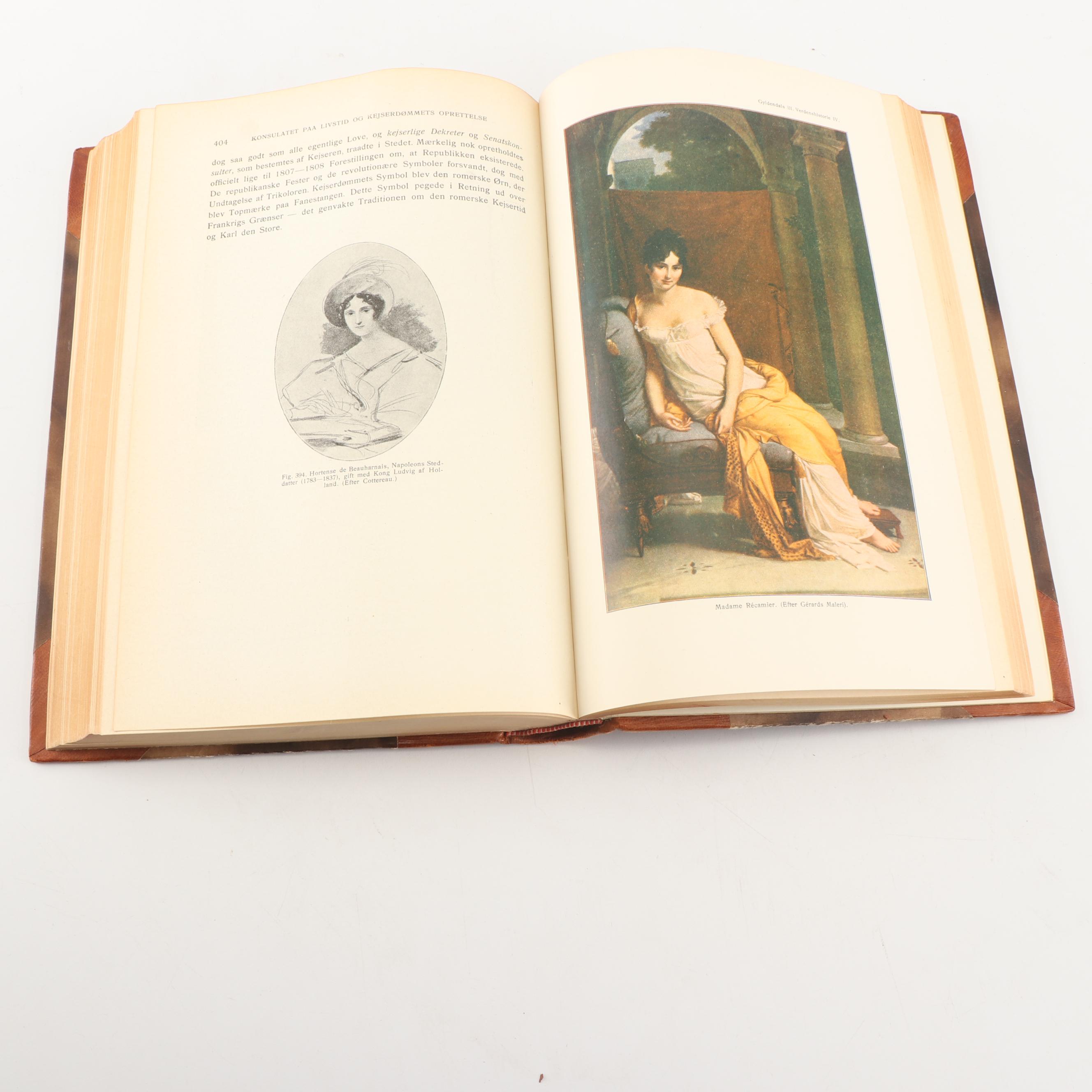 1928 "Borgslægtens Historie" by Gunnar Gunnarsson and Other Books