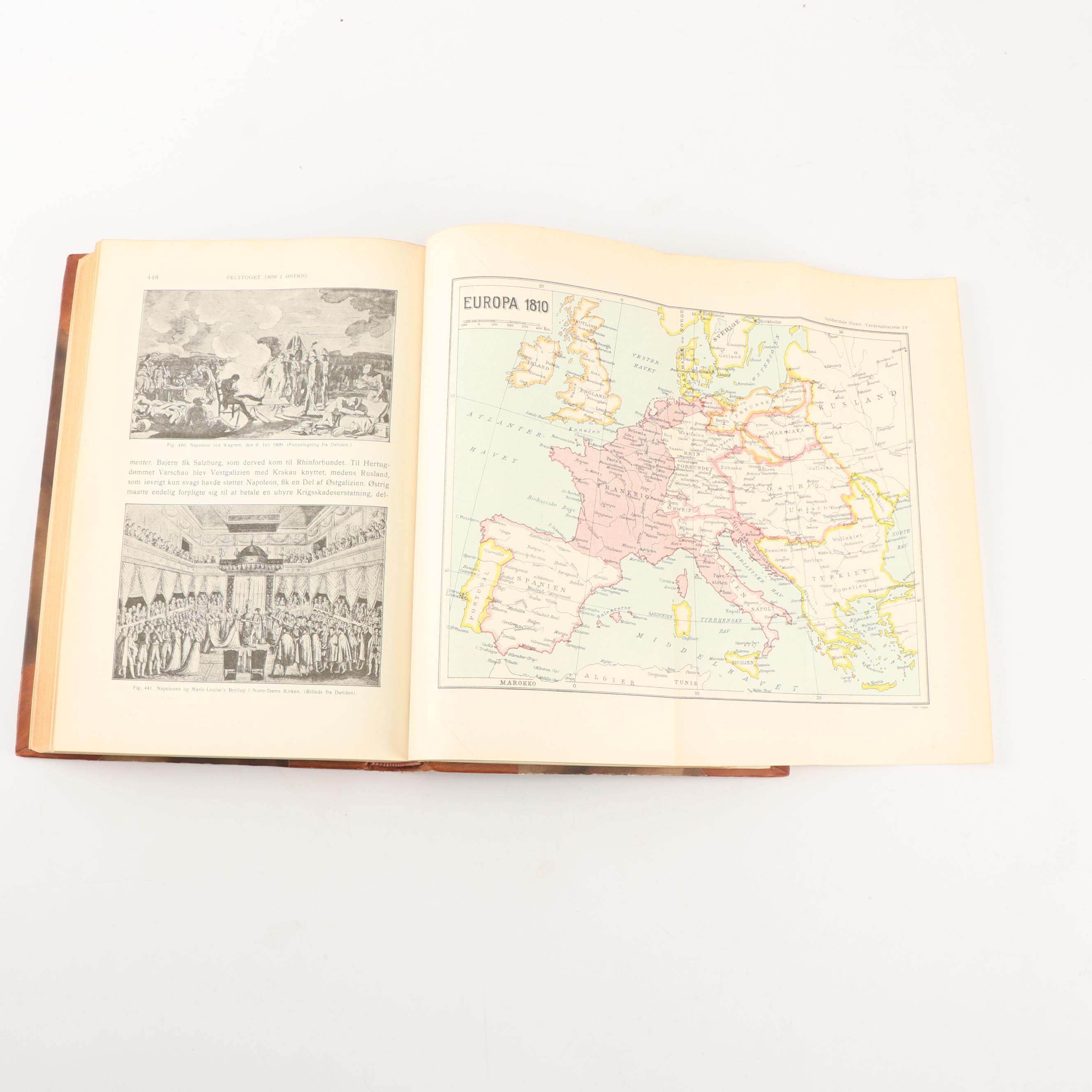 1928 "Borgslægtens Historie" by Gunnar Gunnarsson and Other Books