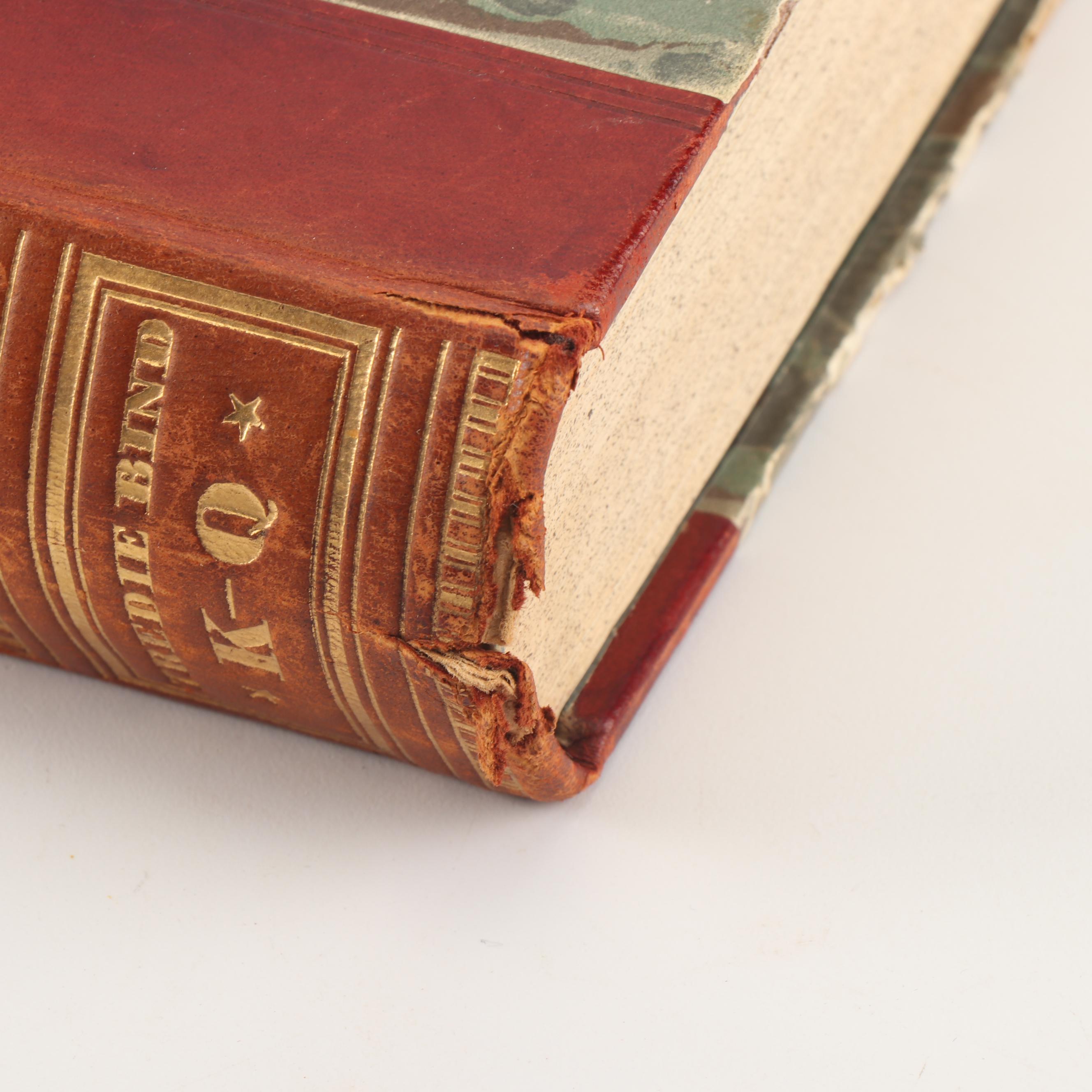 1928 "Borgslægtens Historie" by Gunnar Gunnarsson and Other Books