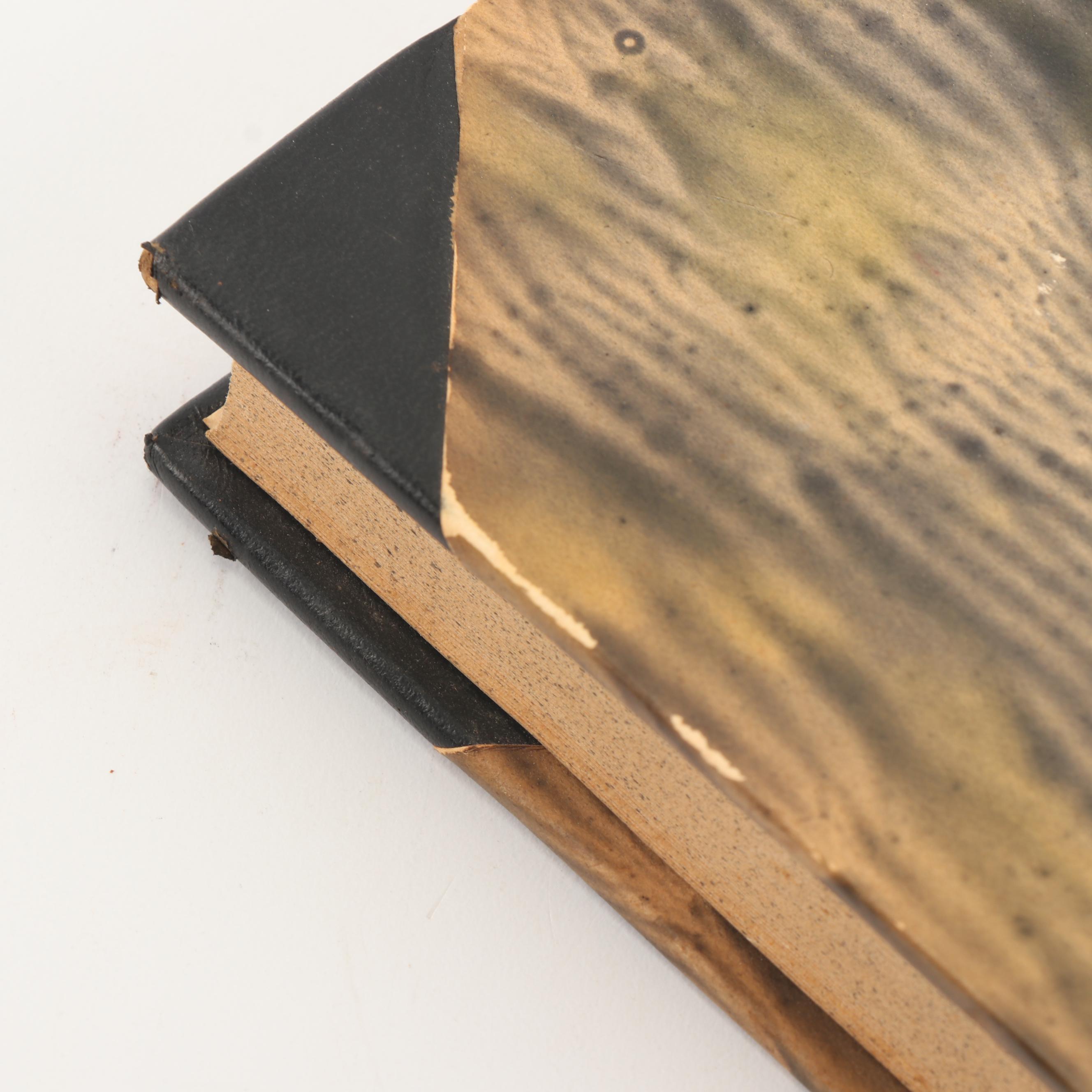 1928 "Borgslægtens Historie" by Gunnar Gunnarsson and Other Books