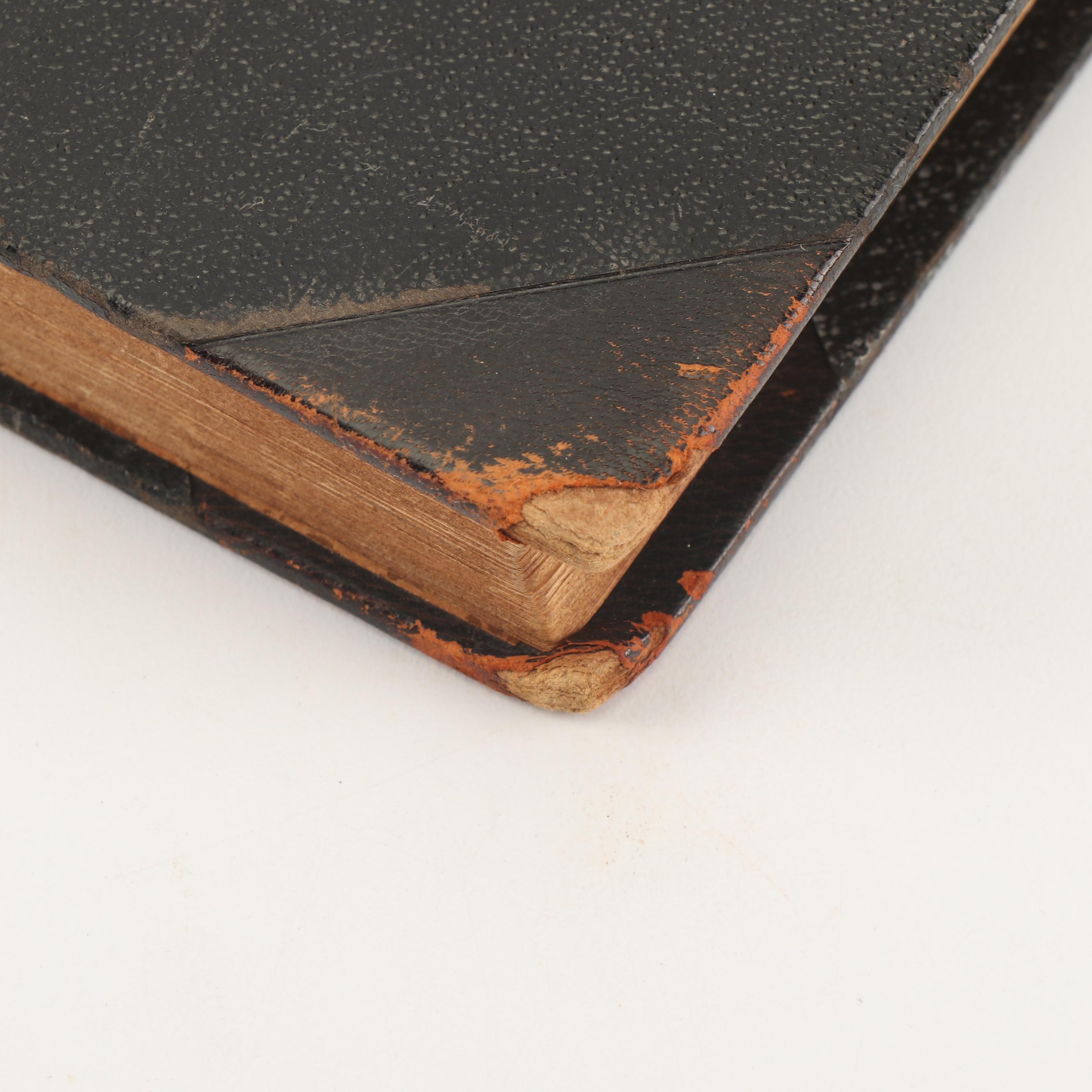 1928 "Borgslægtens Historie" by Gunnar Gunnarsson and Other Books