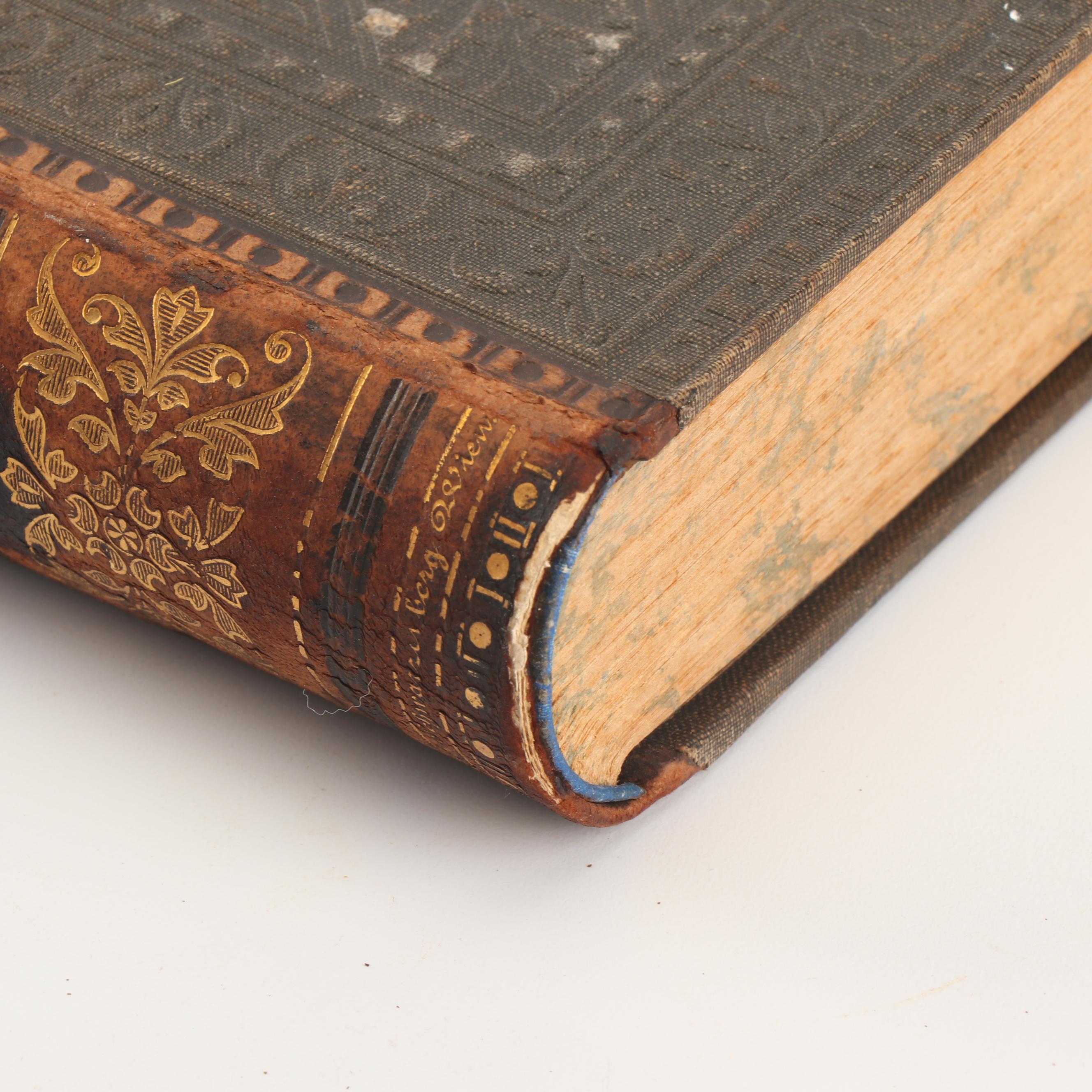 1881 "Real-Encyclopädie der Gesammten Heilkunde" and Other Books