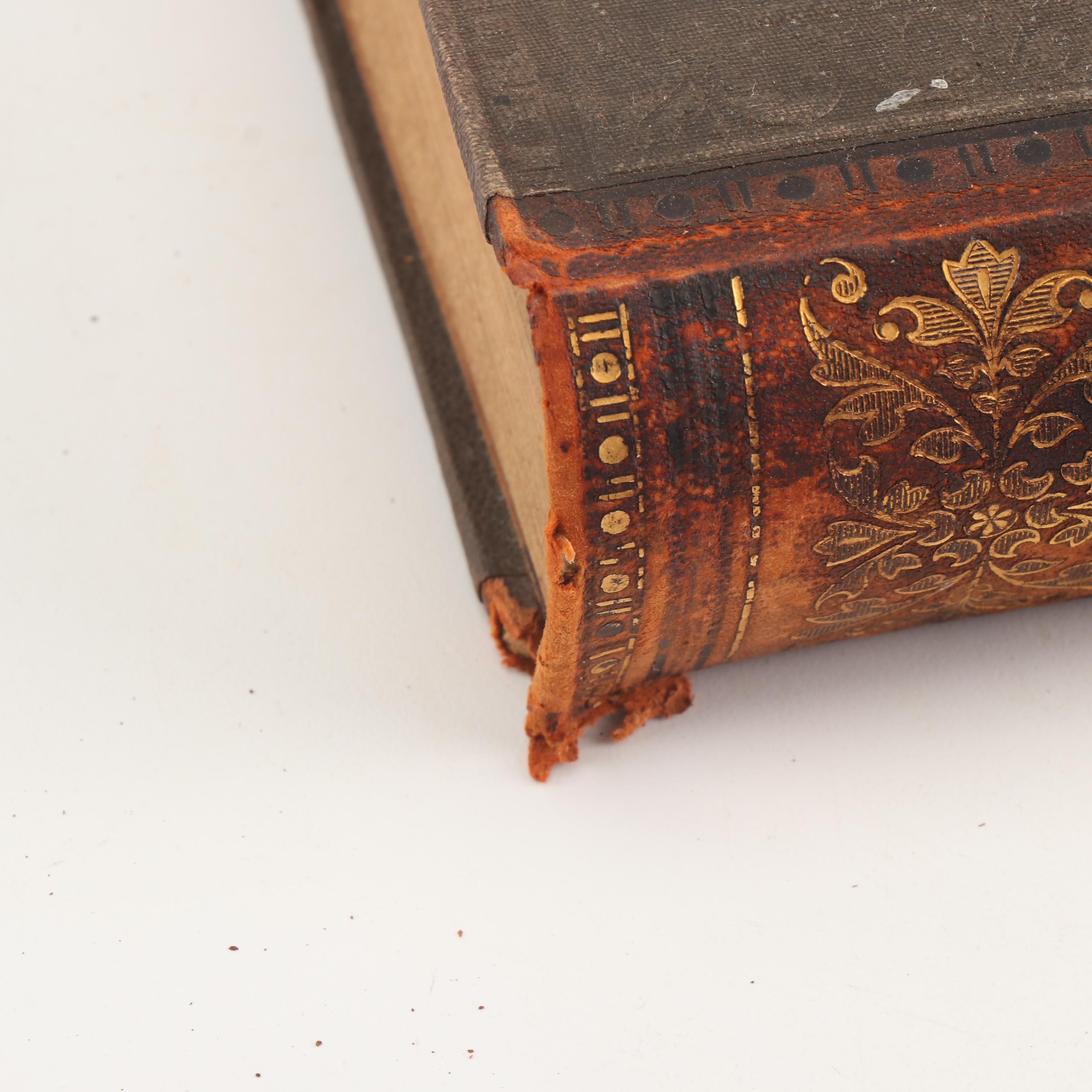 1881 "Real-Encyclopädie der Gesammten Heilkunde" and Other Books