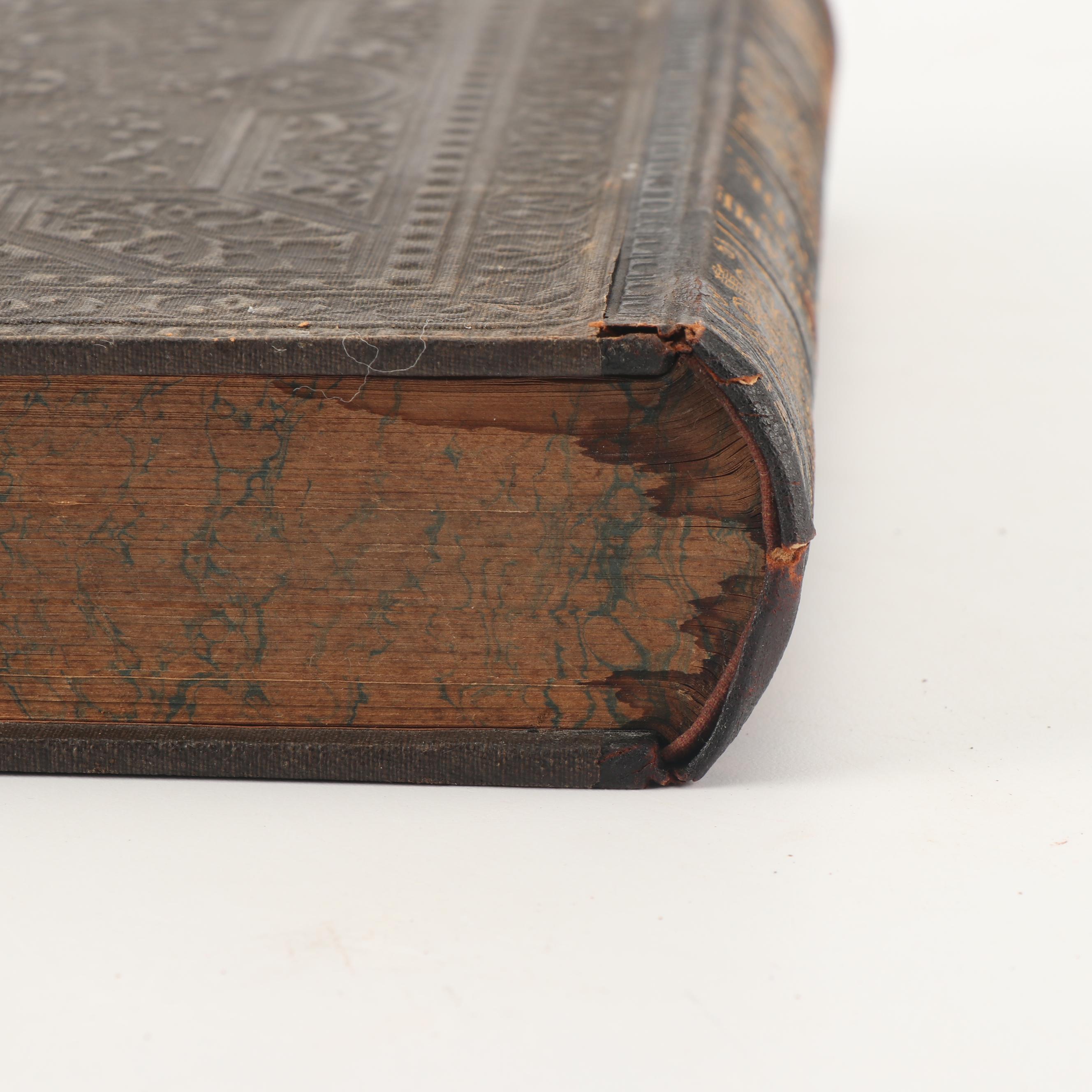 1881 "Real-Encyclopädie der Gesammten Heilkunde" and Other Books