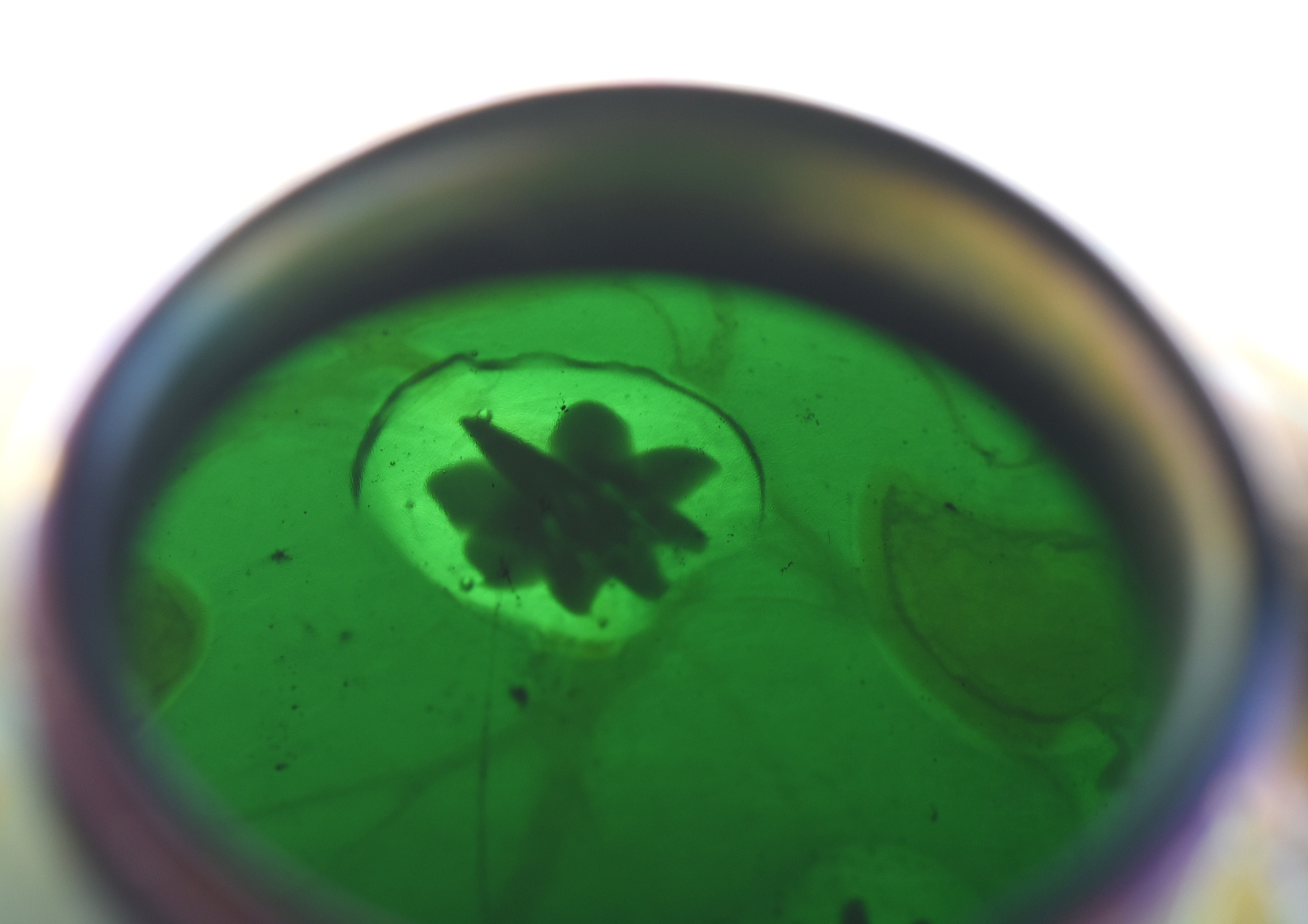 Tiffany Studios Blue Millefiori Favrile Glass Vase