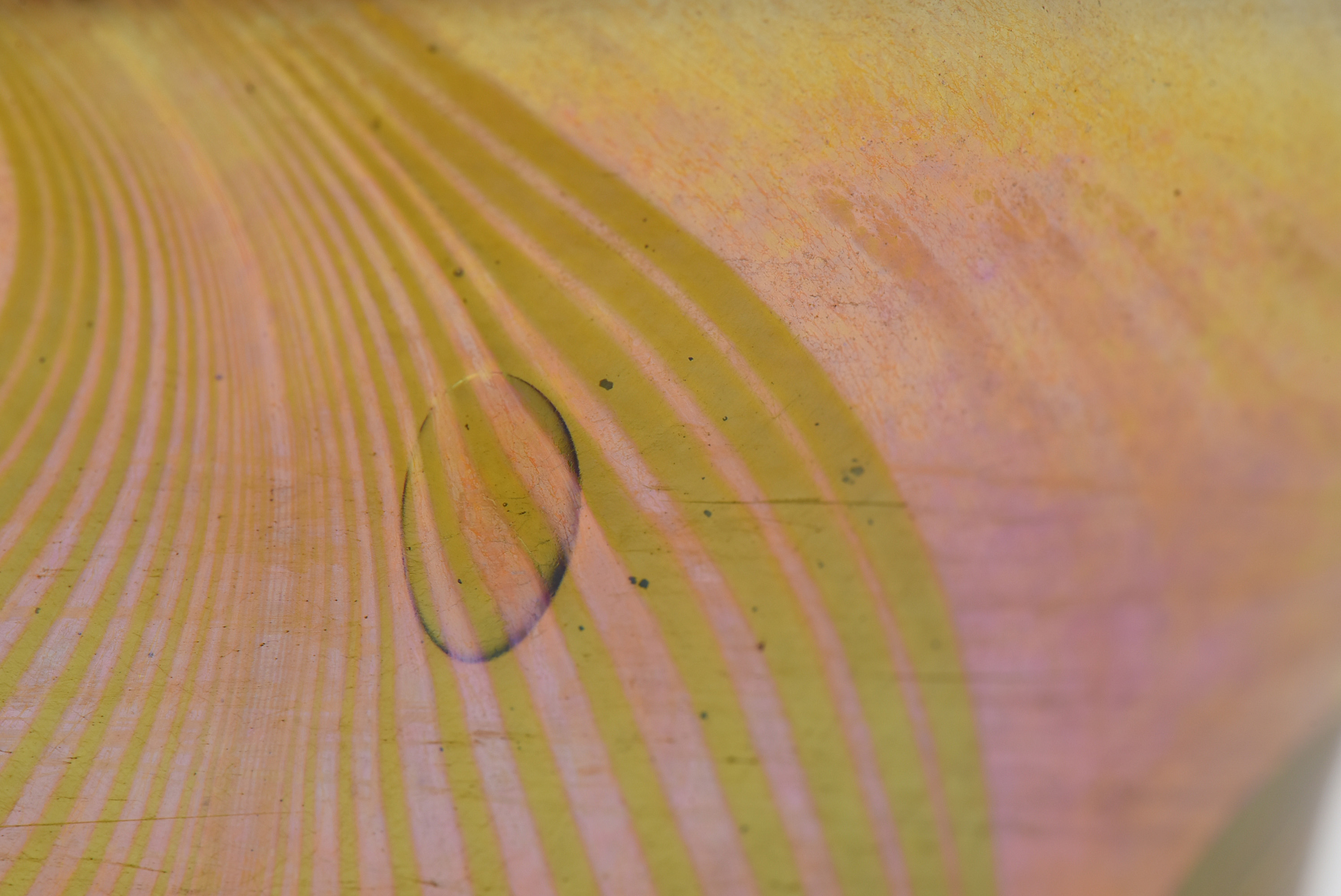 Tiffany Studios Favrile Glass Vase with Pulled Decoration