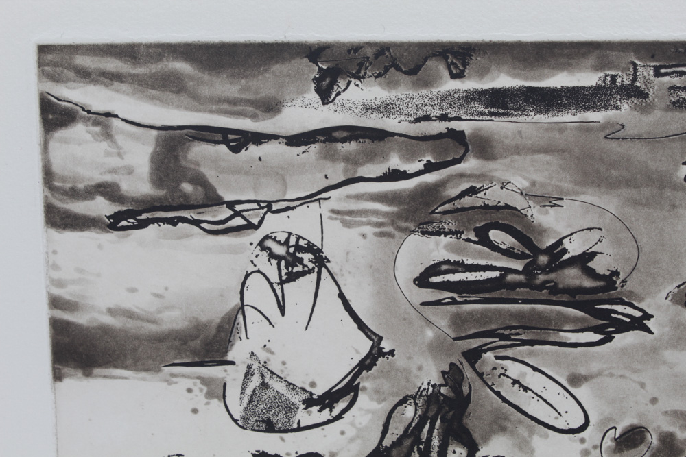 Donald Roberts Lithograph "Island Sky Garden - The Reach"