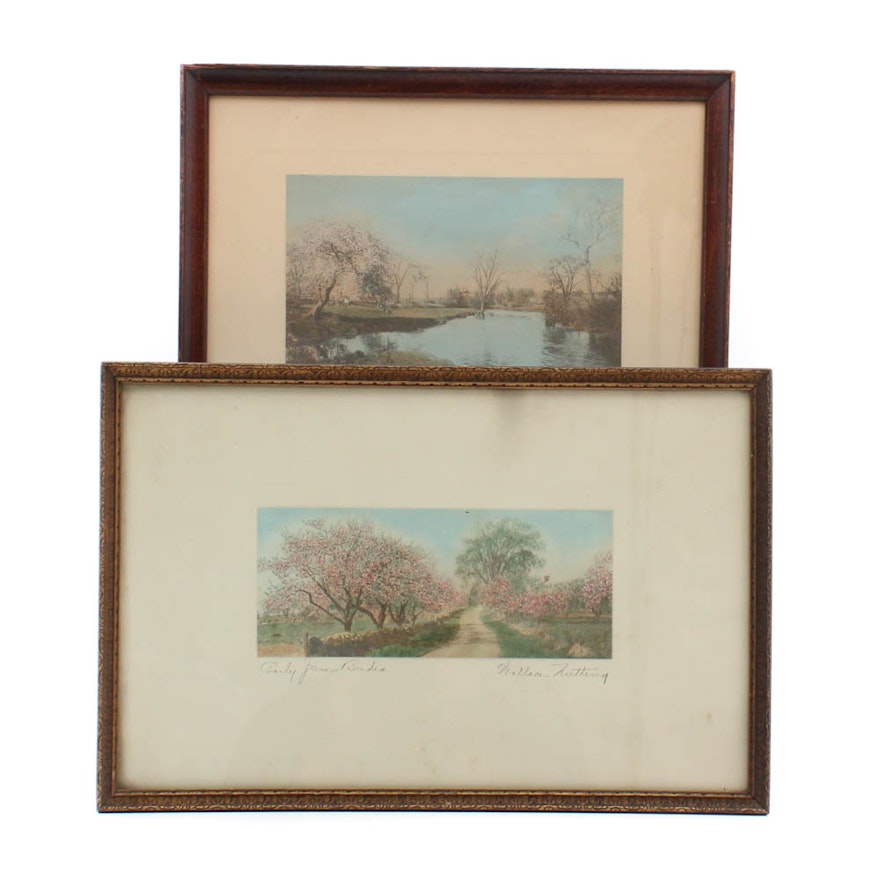 Wallace Nutting Hand-Colored Albumen Photographs