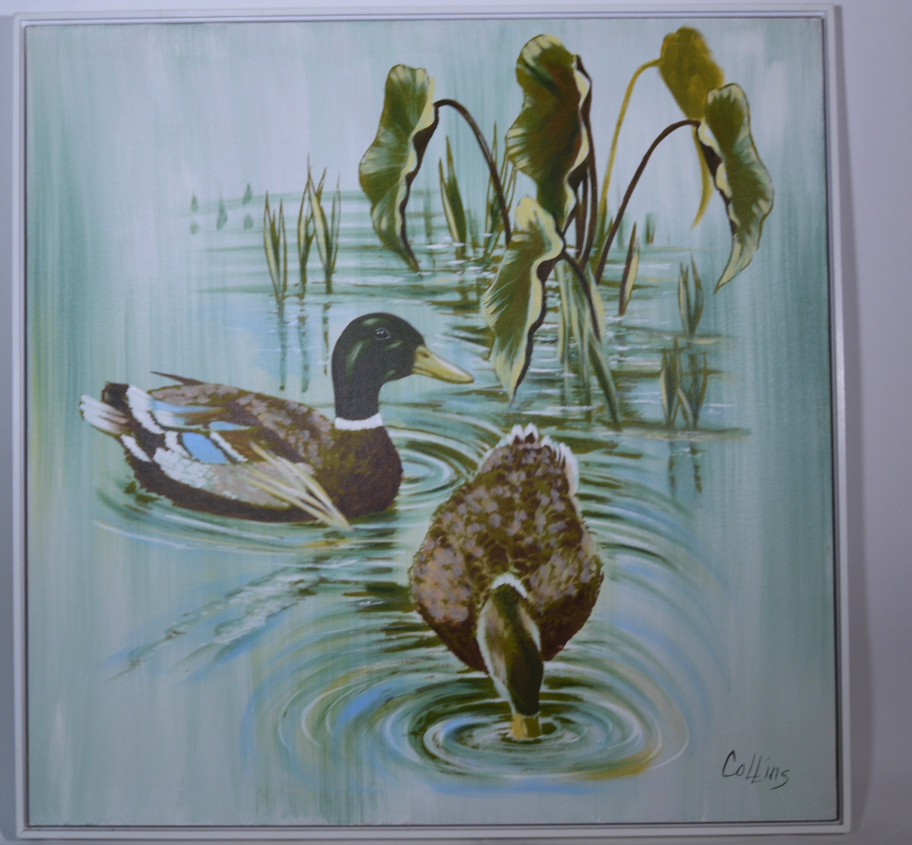Collins Giclee of Mallard Ducks