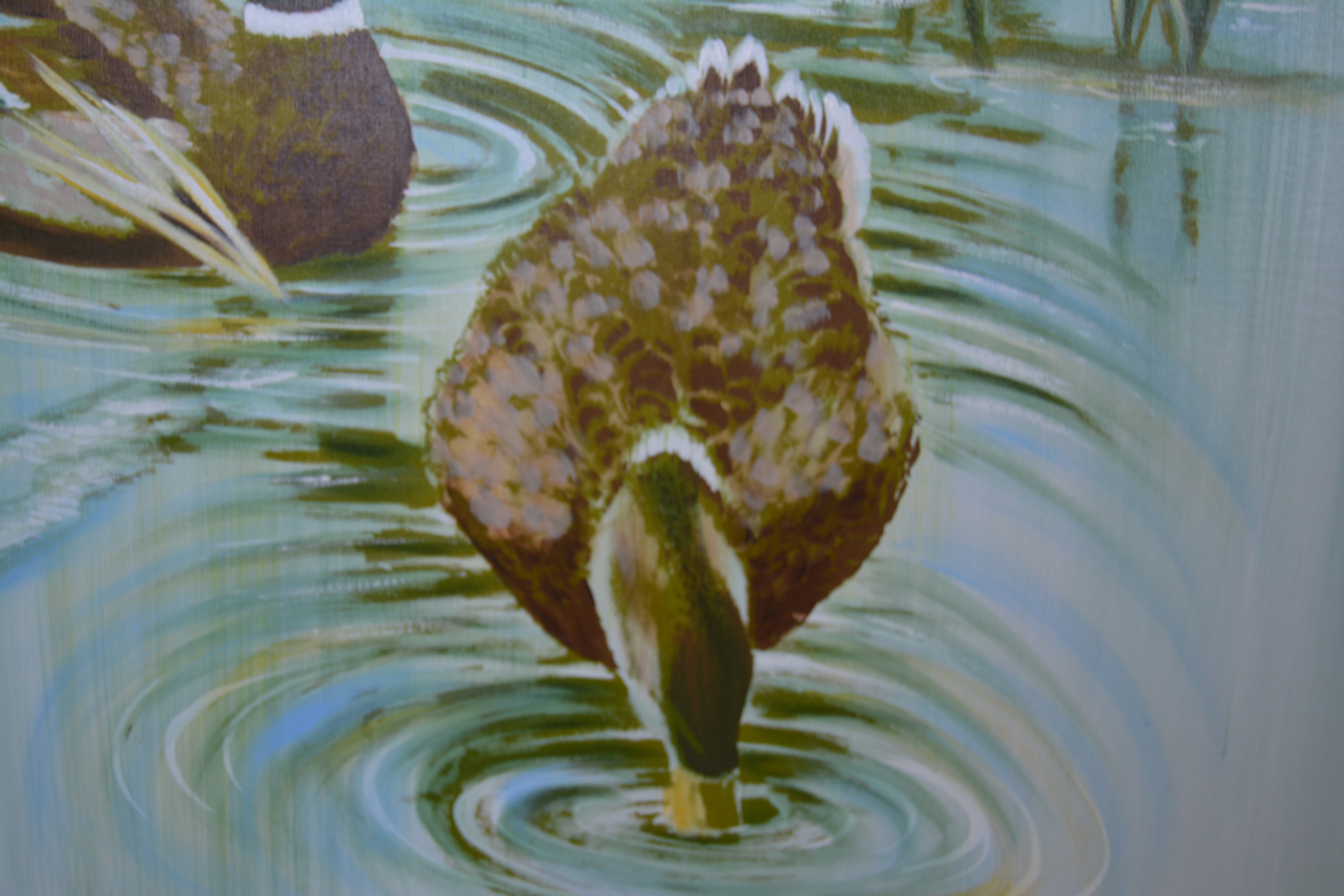 Collins Giclee of Mallard Ducks