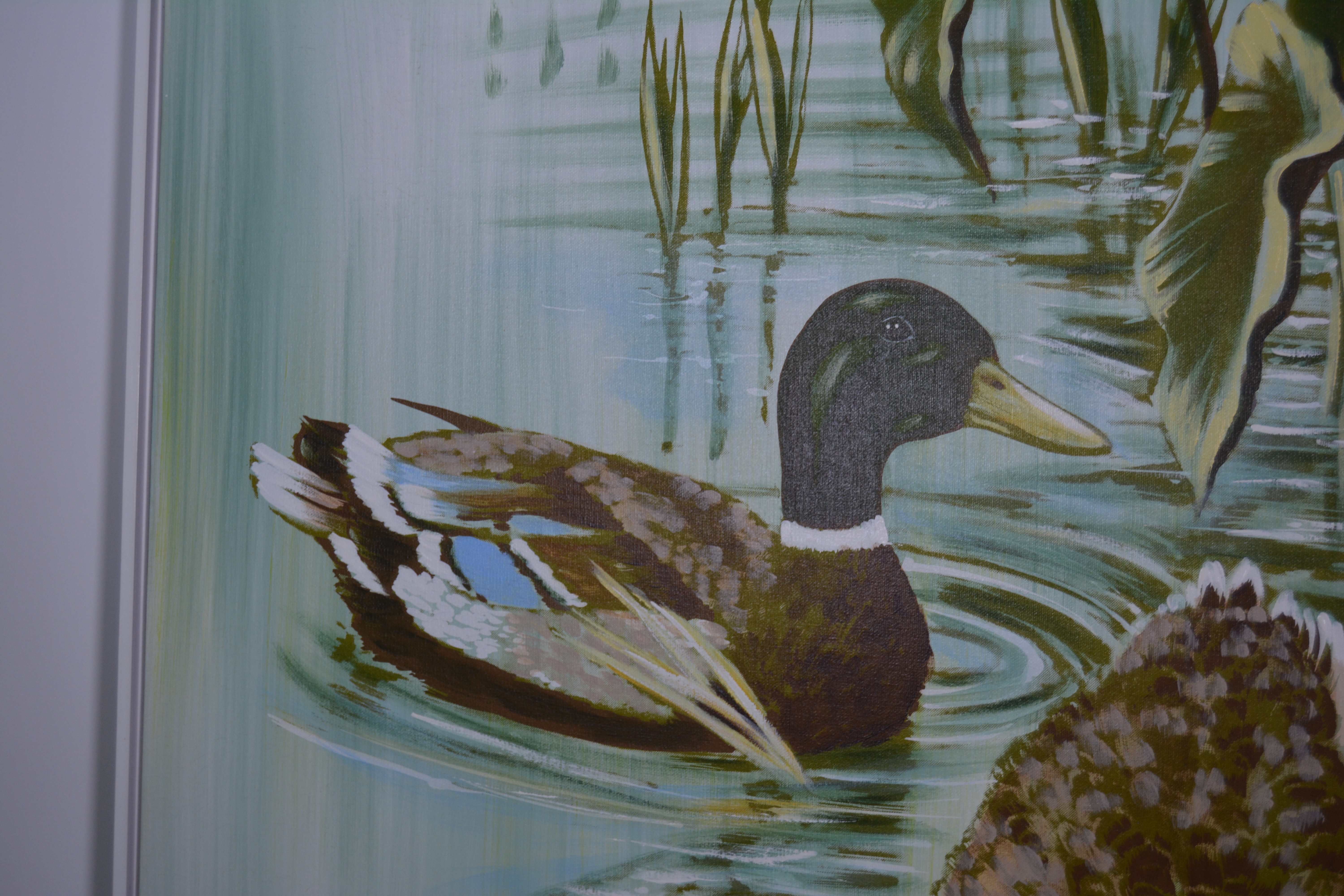 Collins Giclee of Mallard Ducks