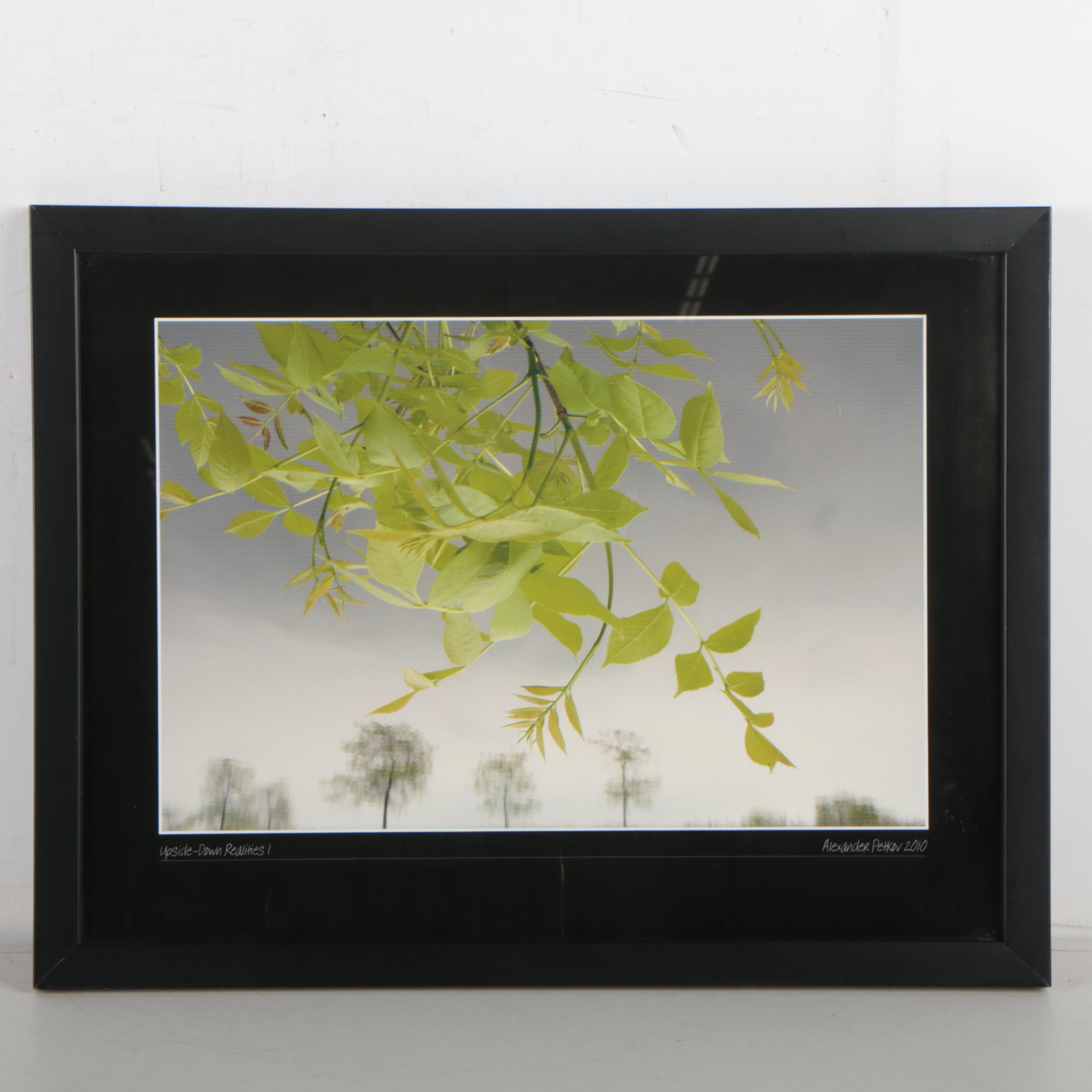 Digital Photograph Prints after Alexander Petkov