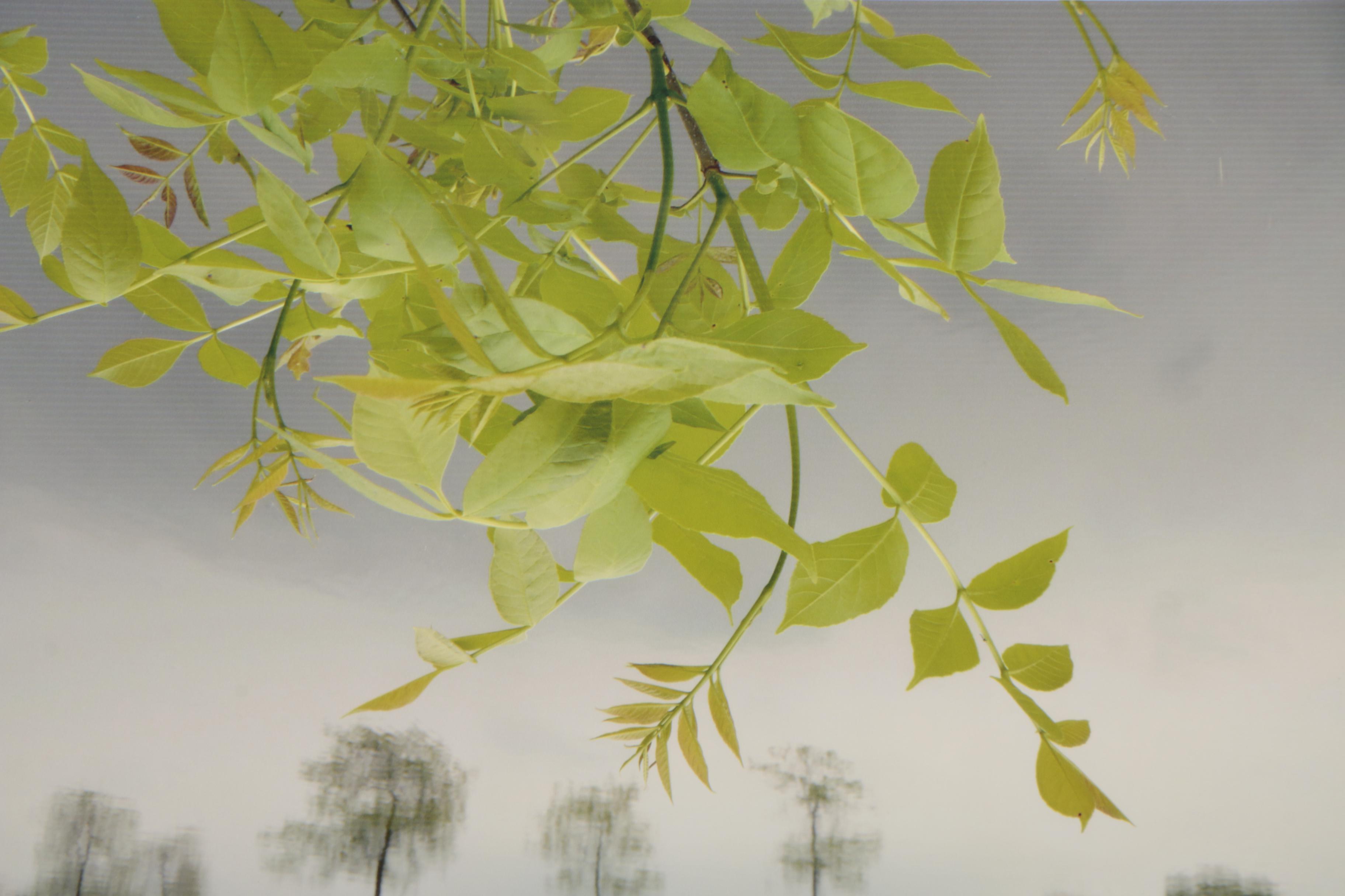 Digital Photograph Prints after Alexander Petkov