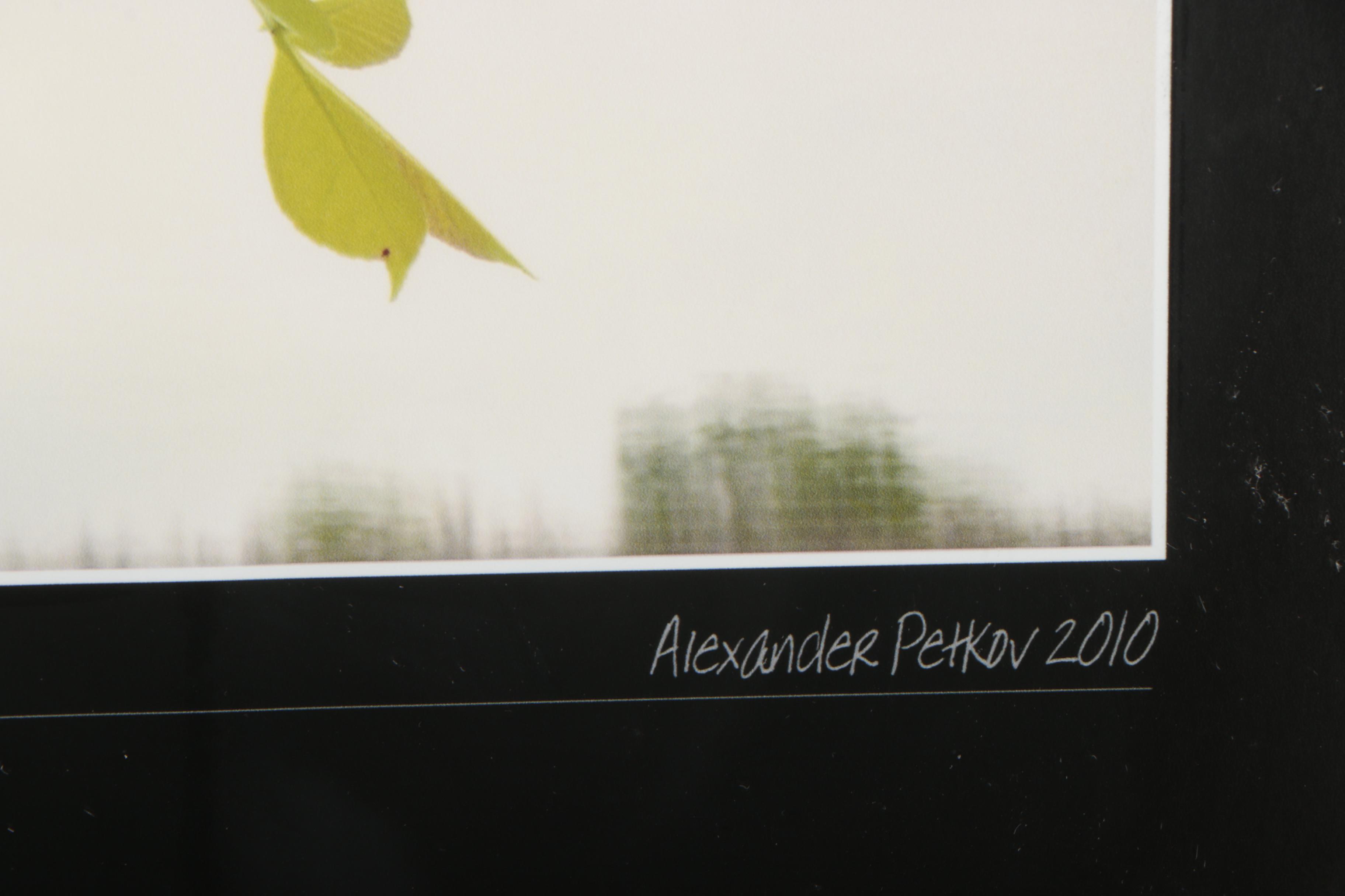 Digital Photograph Prints after Alexander Petkov