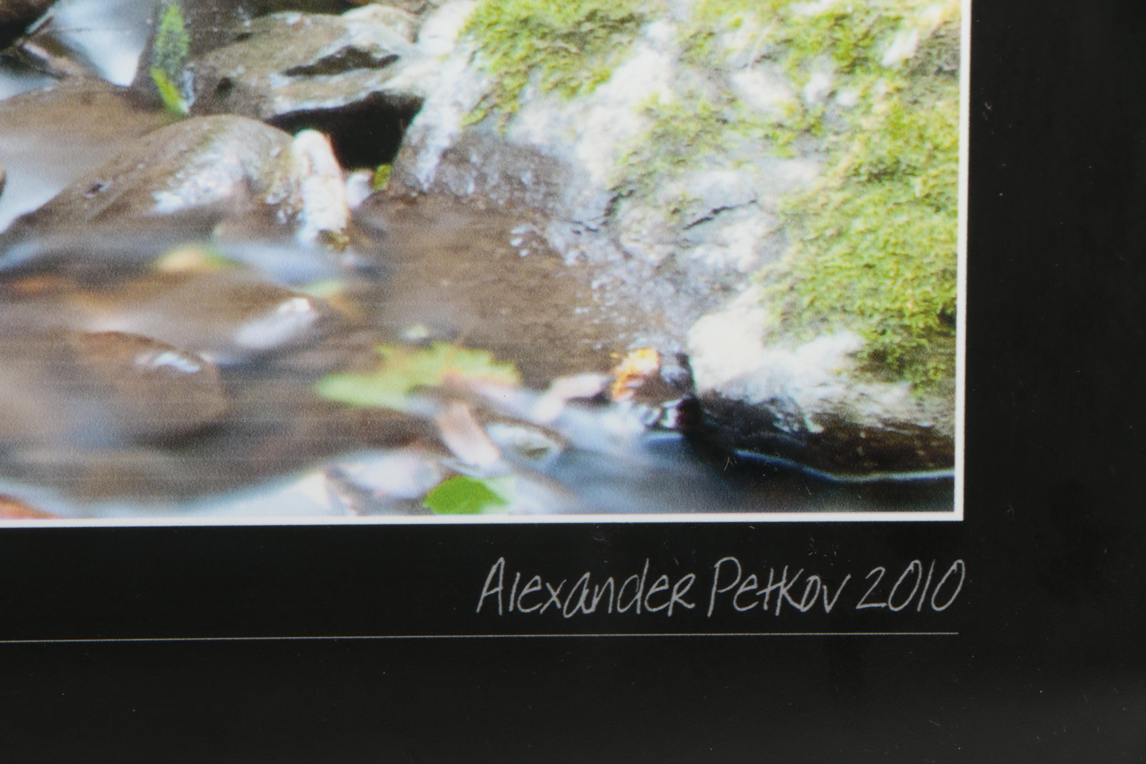 Digital Photograph Prints after Alexander Petkov