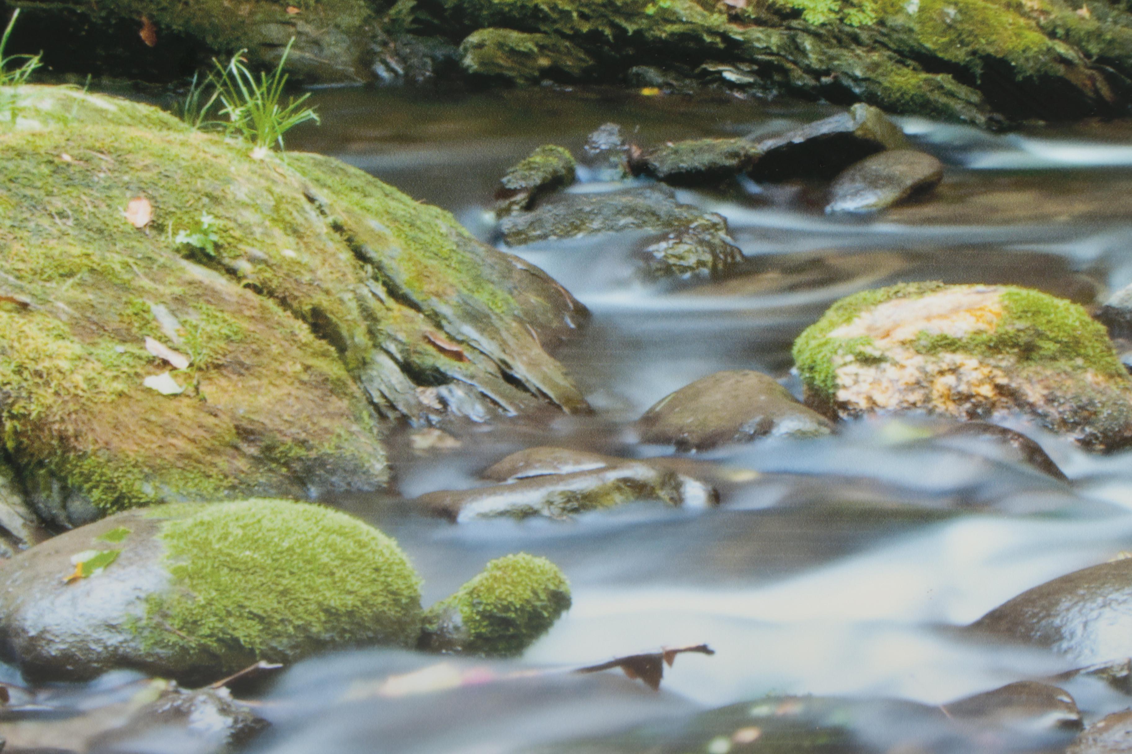 Digital Photograph Prints after Alexander Petkov