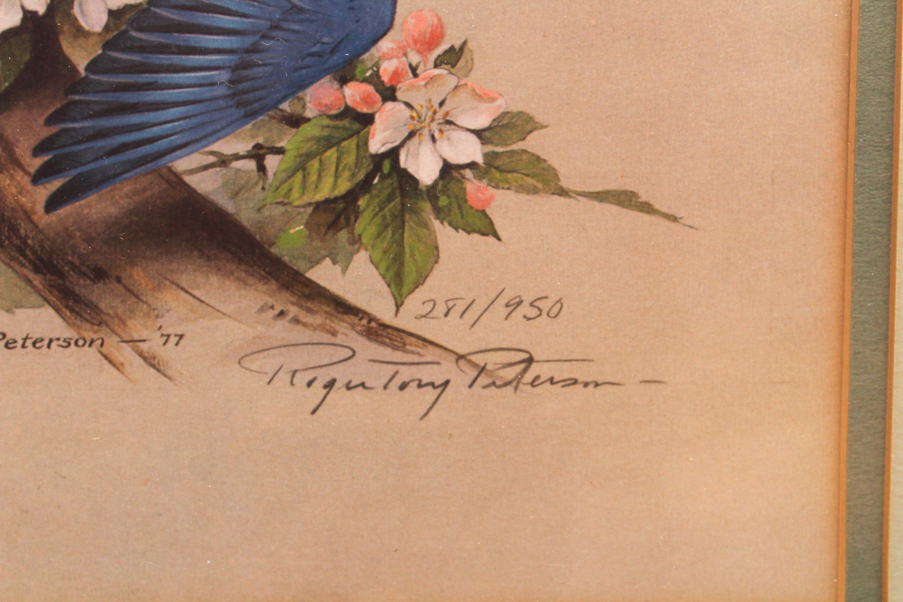 Roger Tory Peterson Print