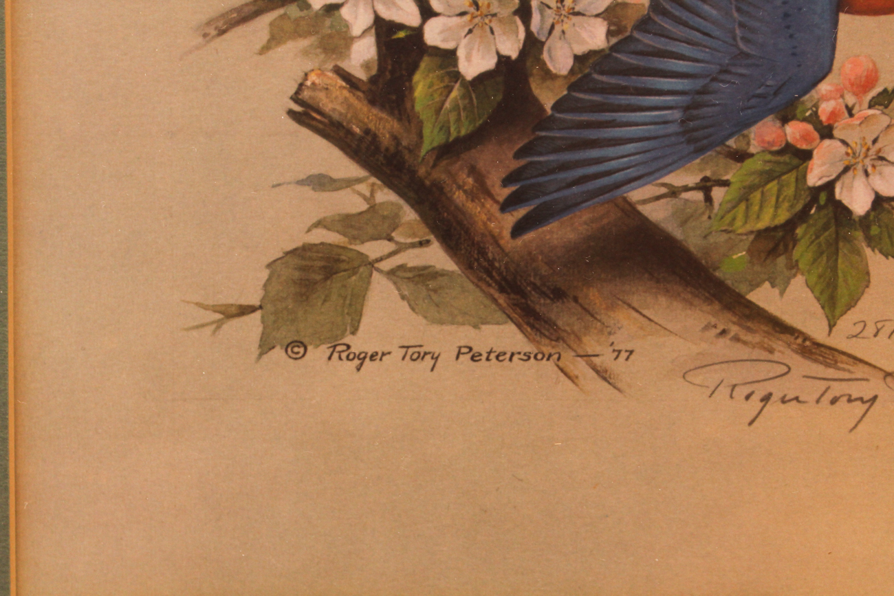 Roger Tory Peterson Print