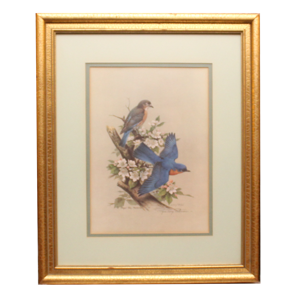 Roger Tory Peterson Print