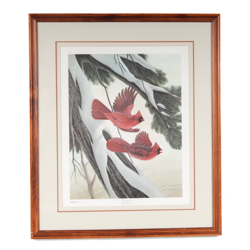 John Ruthven "Cardinal" Limited Edition Print