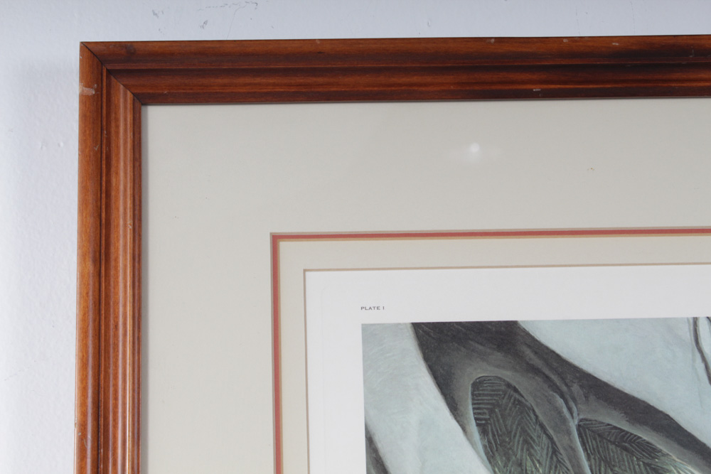 John Ruthven "Cardinal" Limited Edition Print