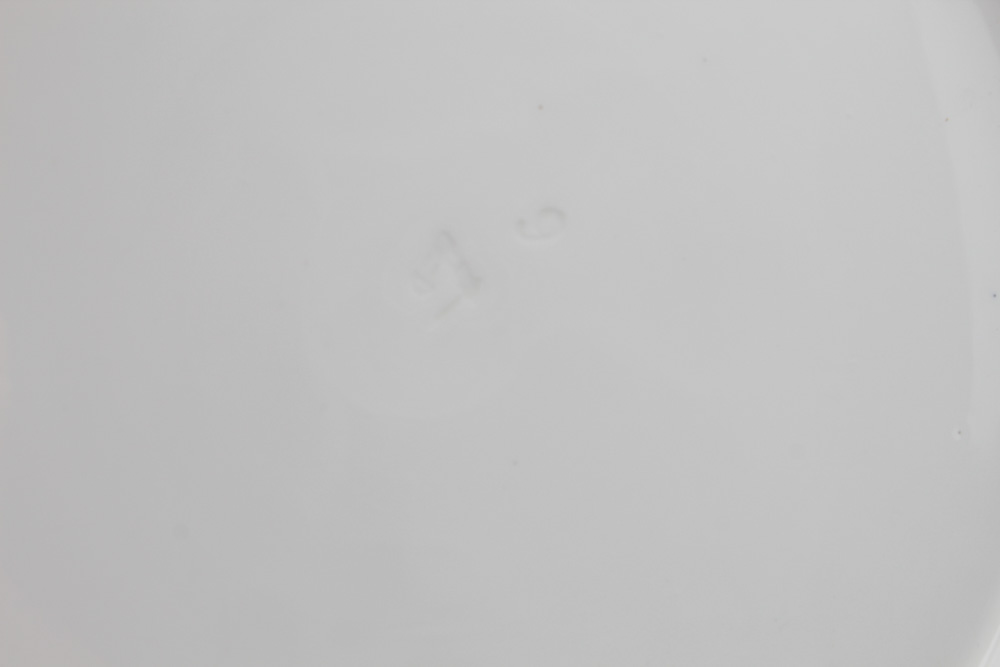 Earthenware and Porcelain Dinnerware Featuring Delft