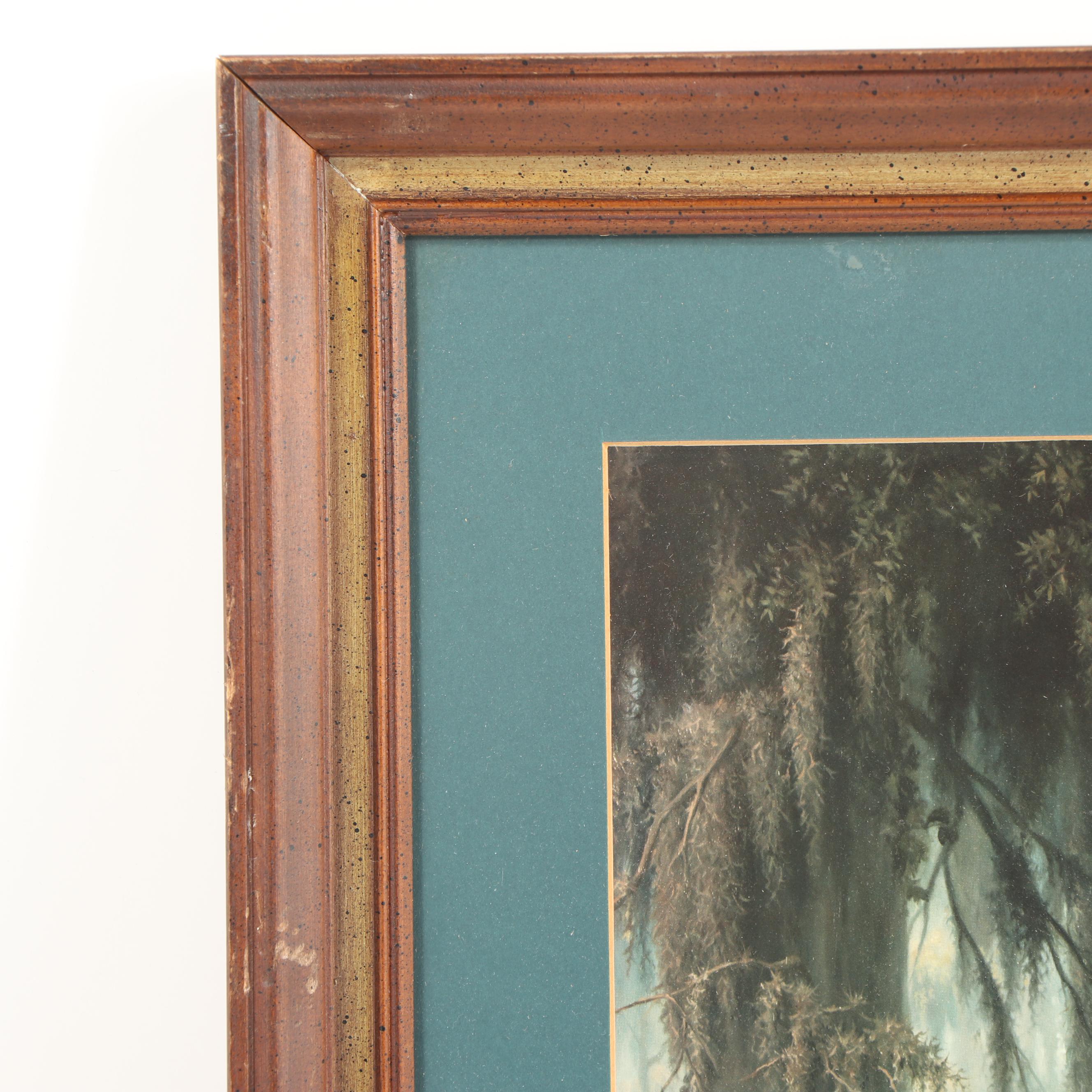 Offset Lithograph after Dalhart Windberg Cypress Mist