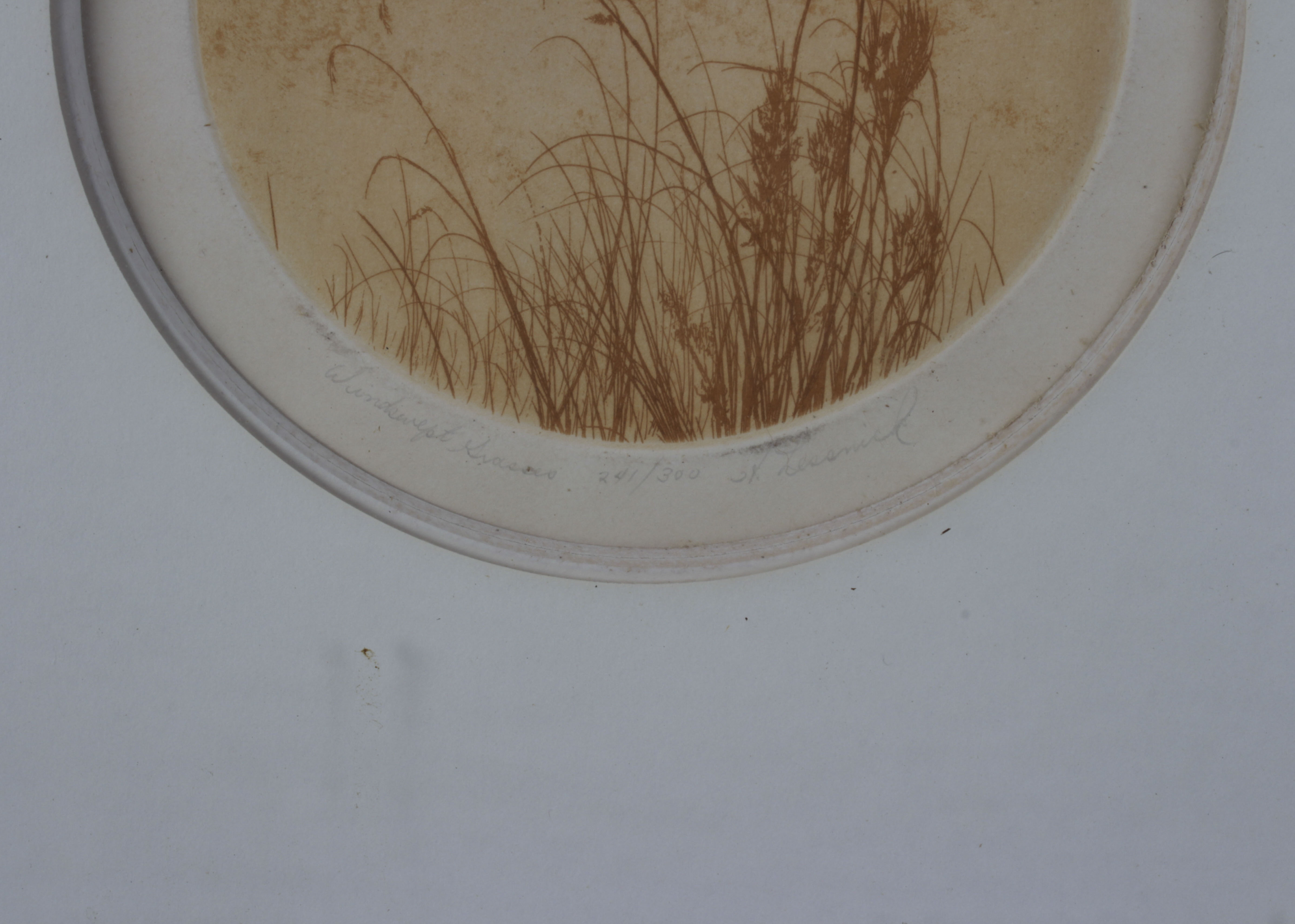 Howard Lessnick Etching "Windswept Grass"